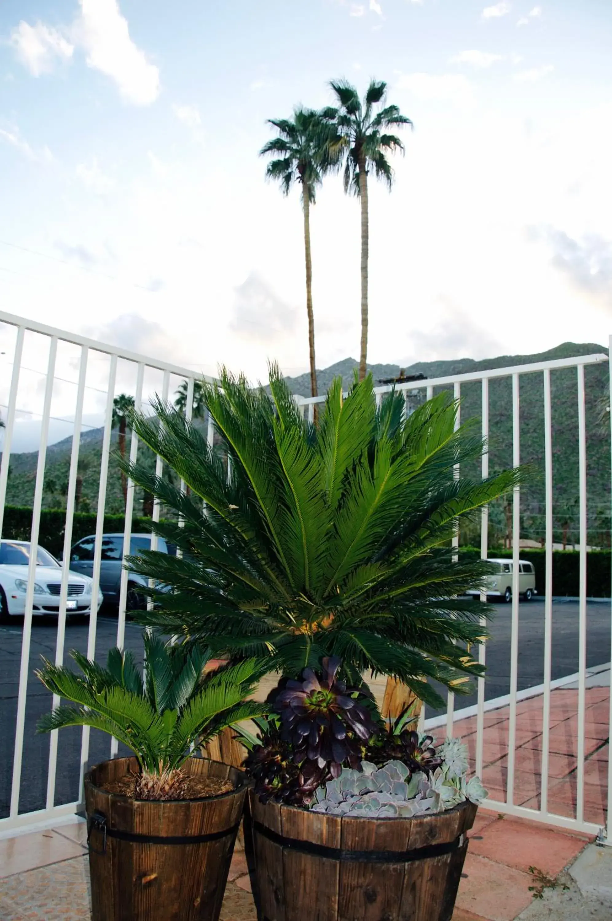 Property building in Delos Reyes Palm Springs Property building in Delos Reyes Palm Springs