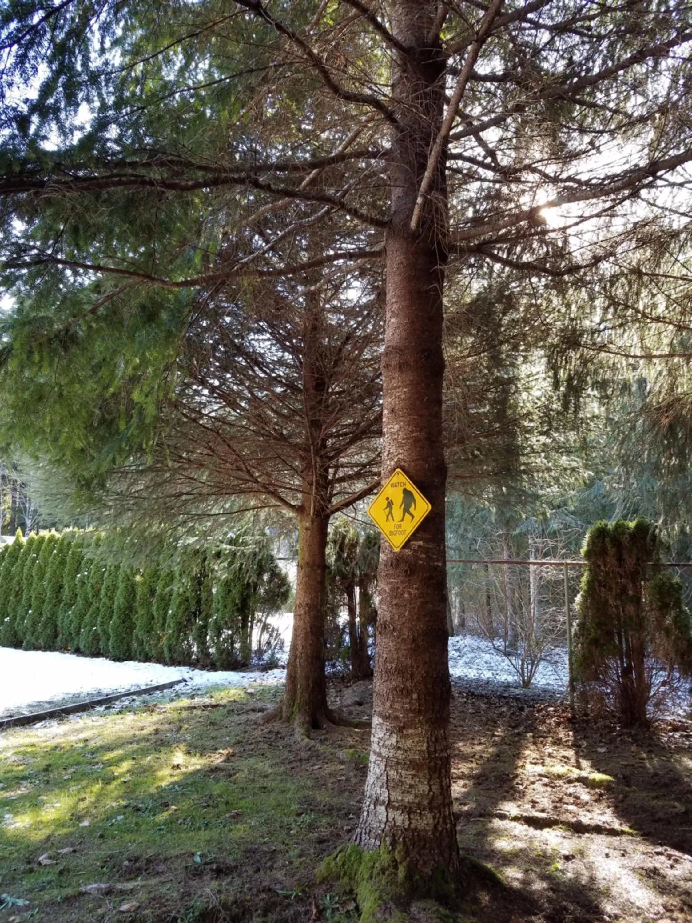 Natural landscape in A Relaxing Getaway SolDuc 1