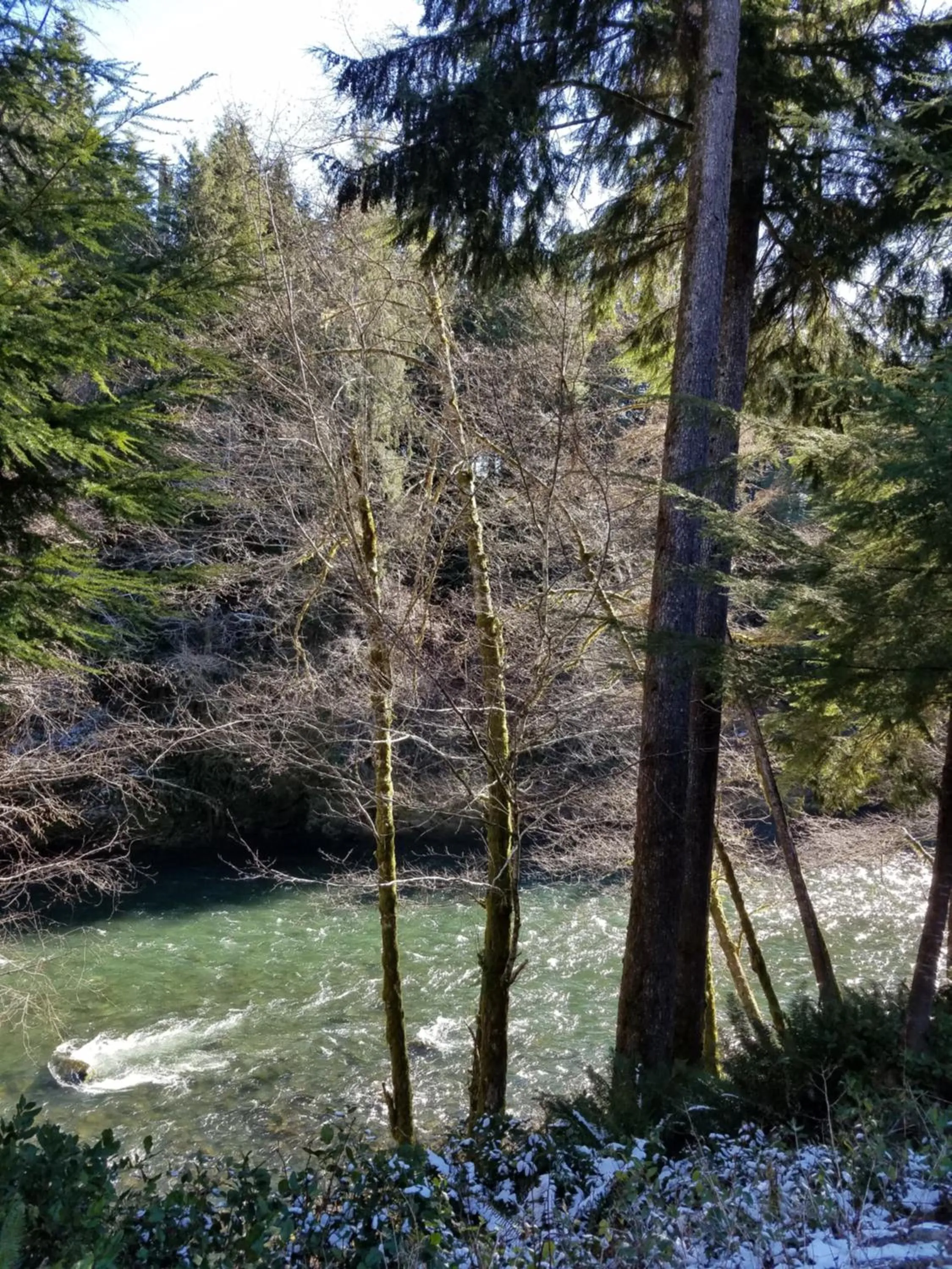 Natural landscape in A Relaxing Getaway SolDuc 1