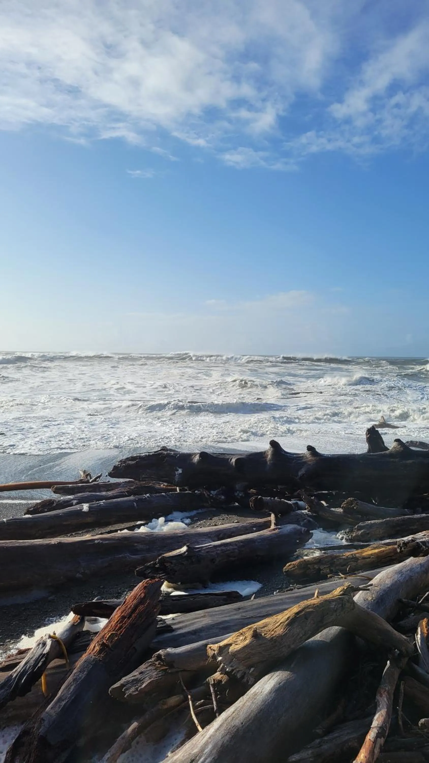 Natural landscape in A Relaxing Getaway SolDuc 1