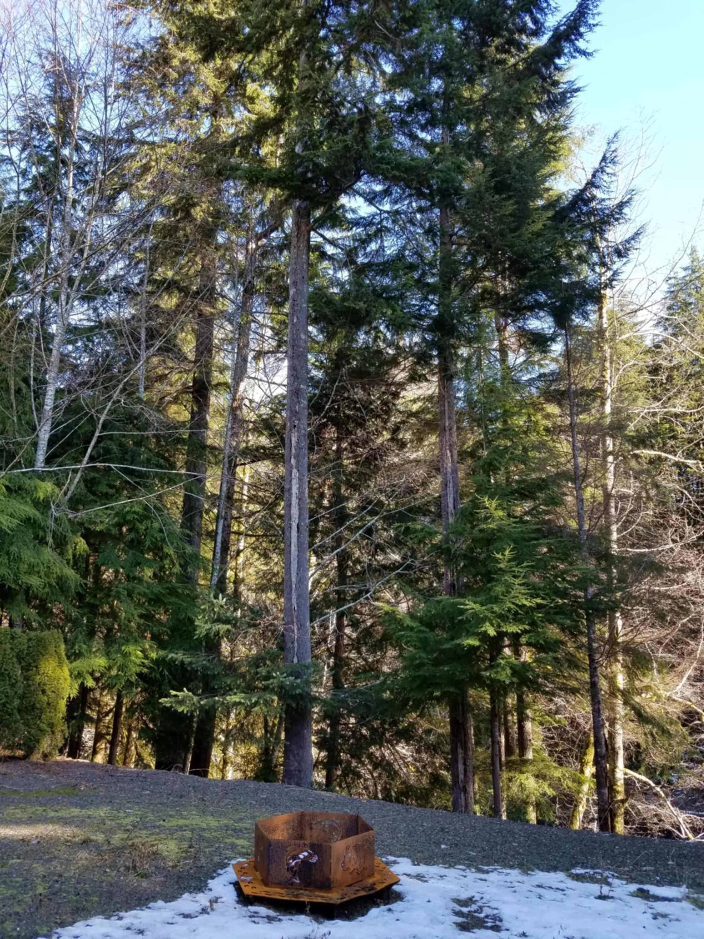 Patio in A Relaxing Getaway SolDuc 1