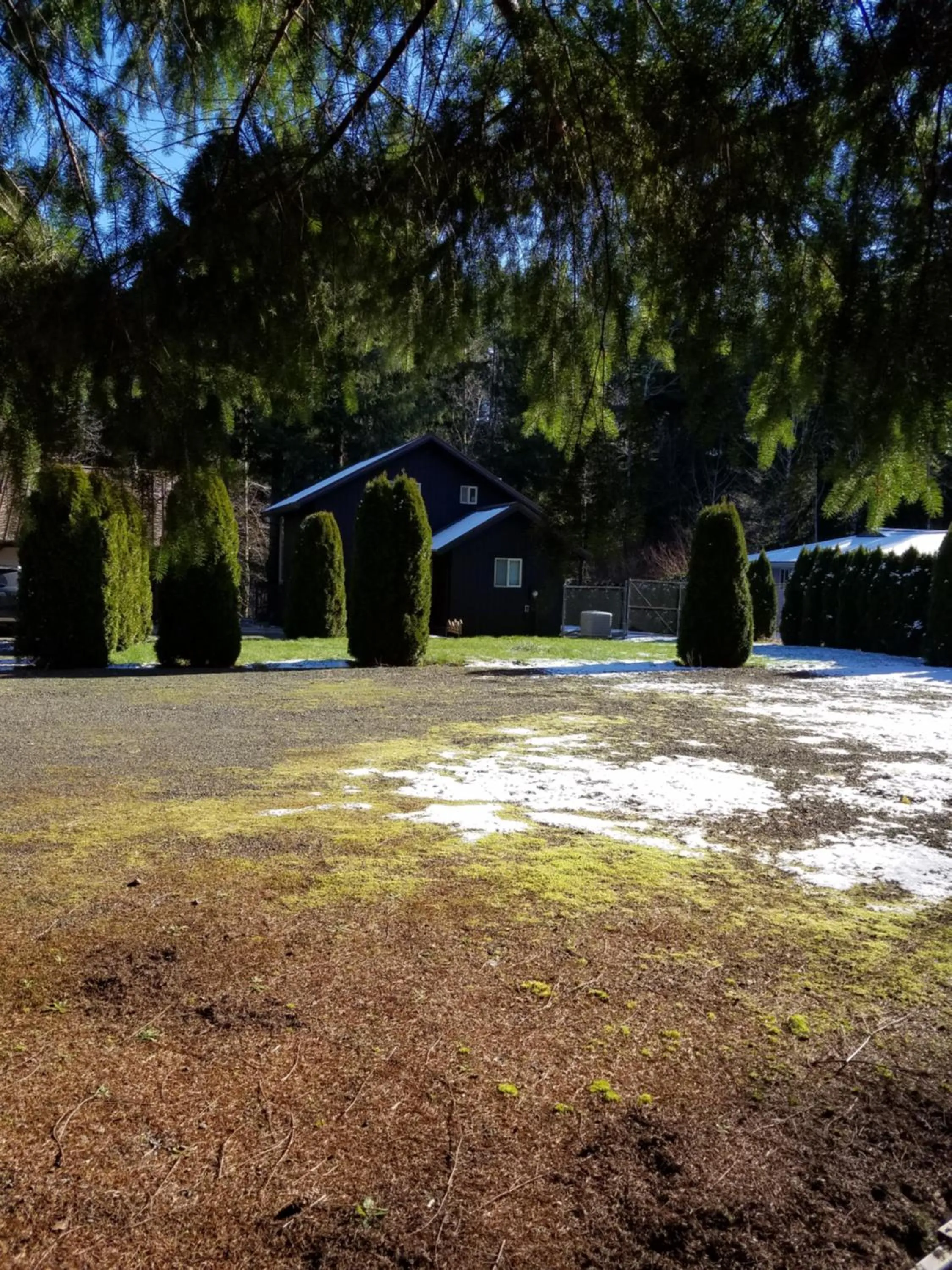 Bird's eye view in A Relaxing Getaway SolDuc 1