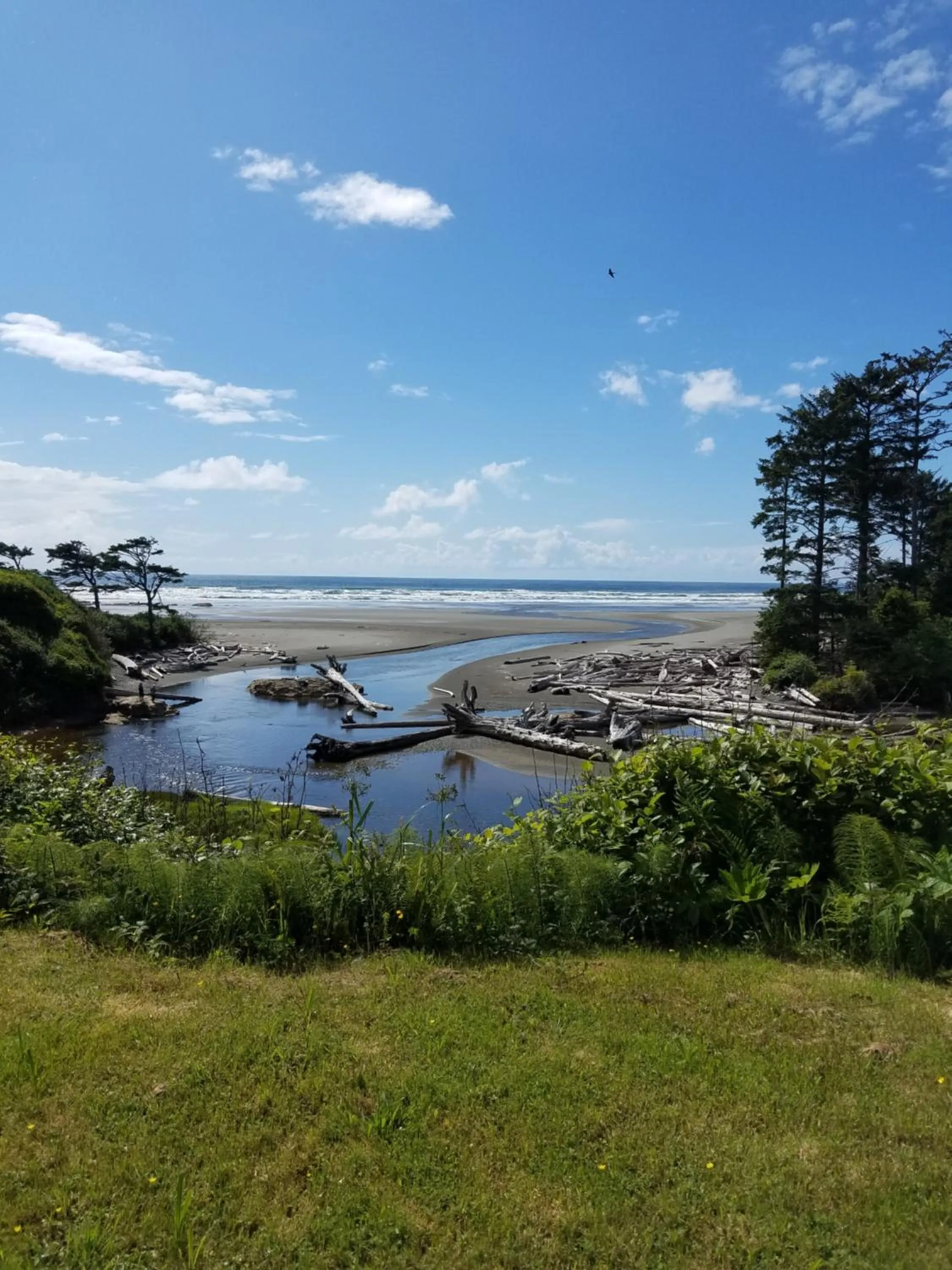 Off site in A Relaxing Getaway SolDuc 1