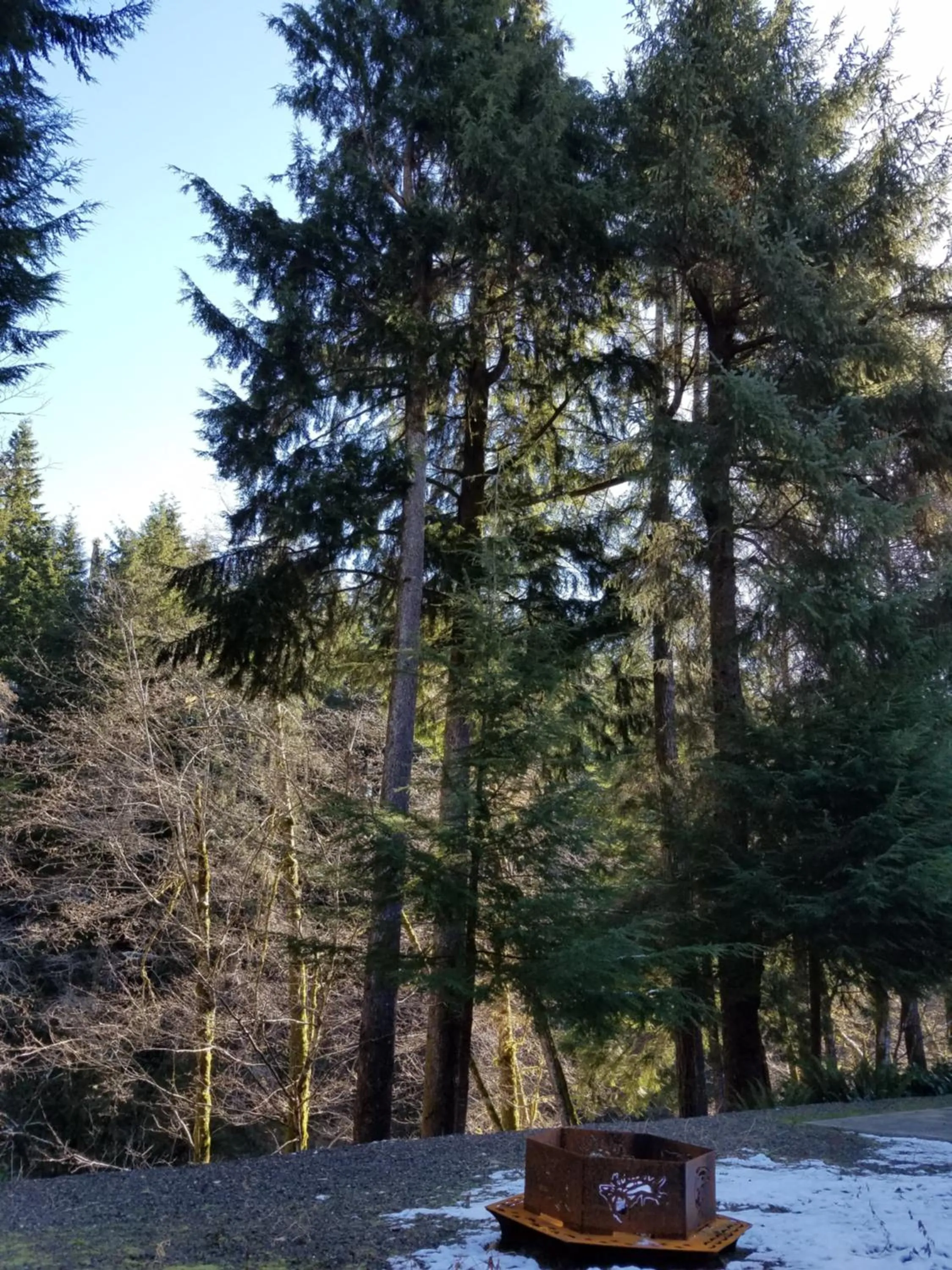 BBQ facilities in A Relaxing Getaway SolDuc 1