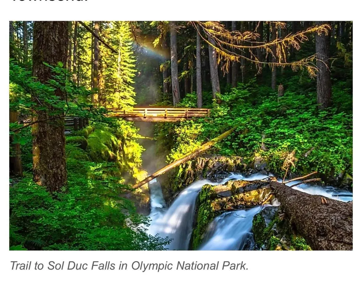 Natural landscape in A Relaxing Getaway SolDuc 1