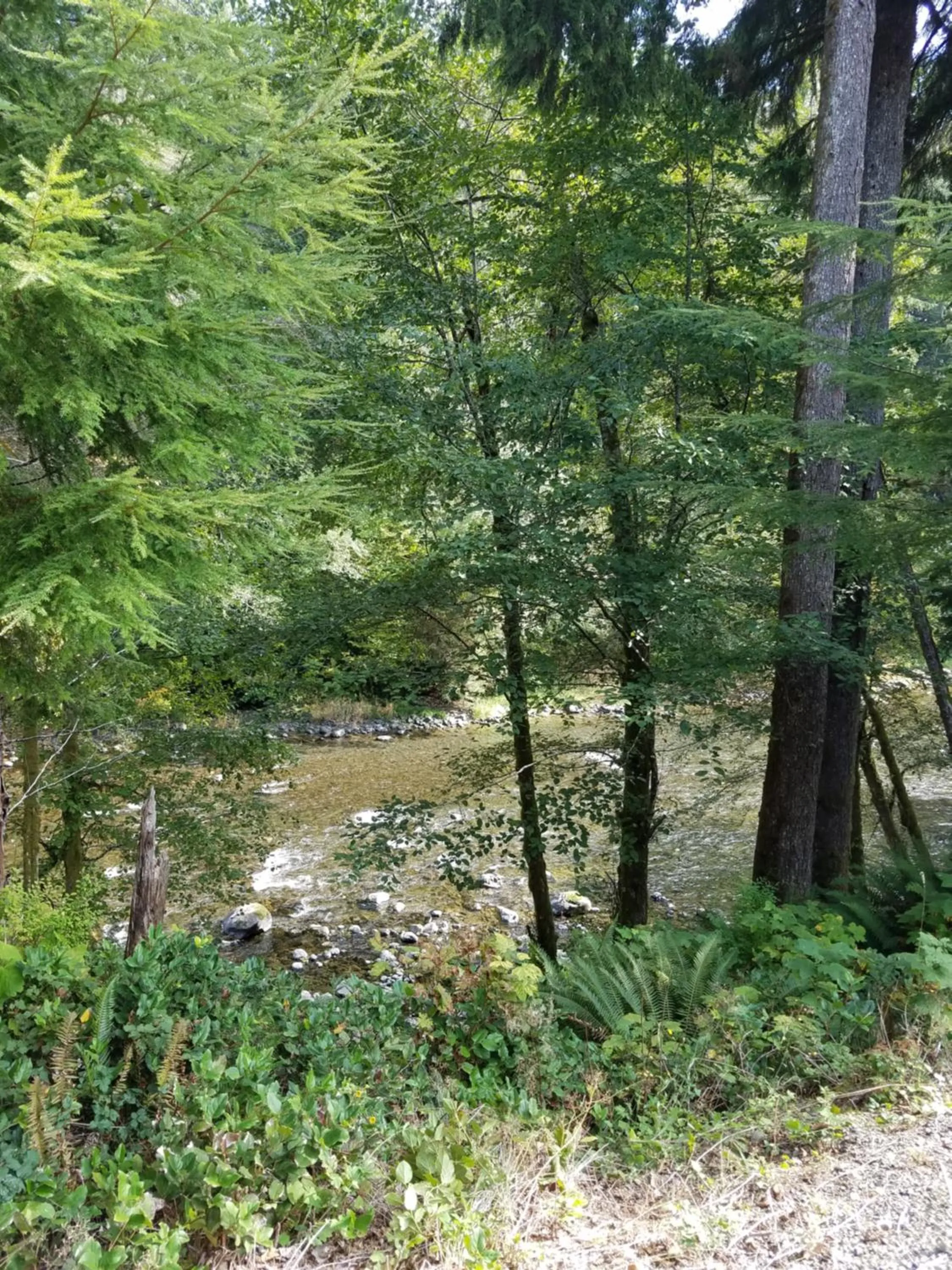 Balcony/Terrace in A Relaxing Getaway SolDuc 1