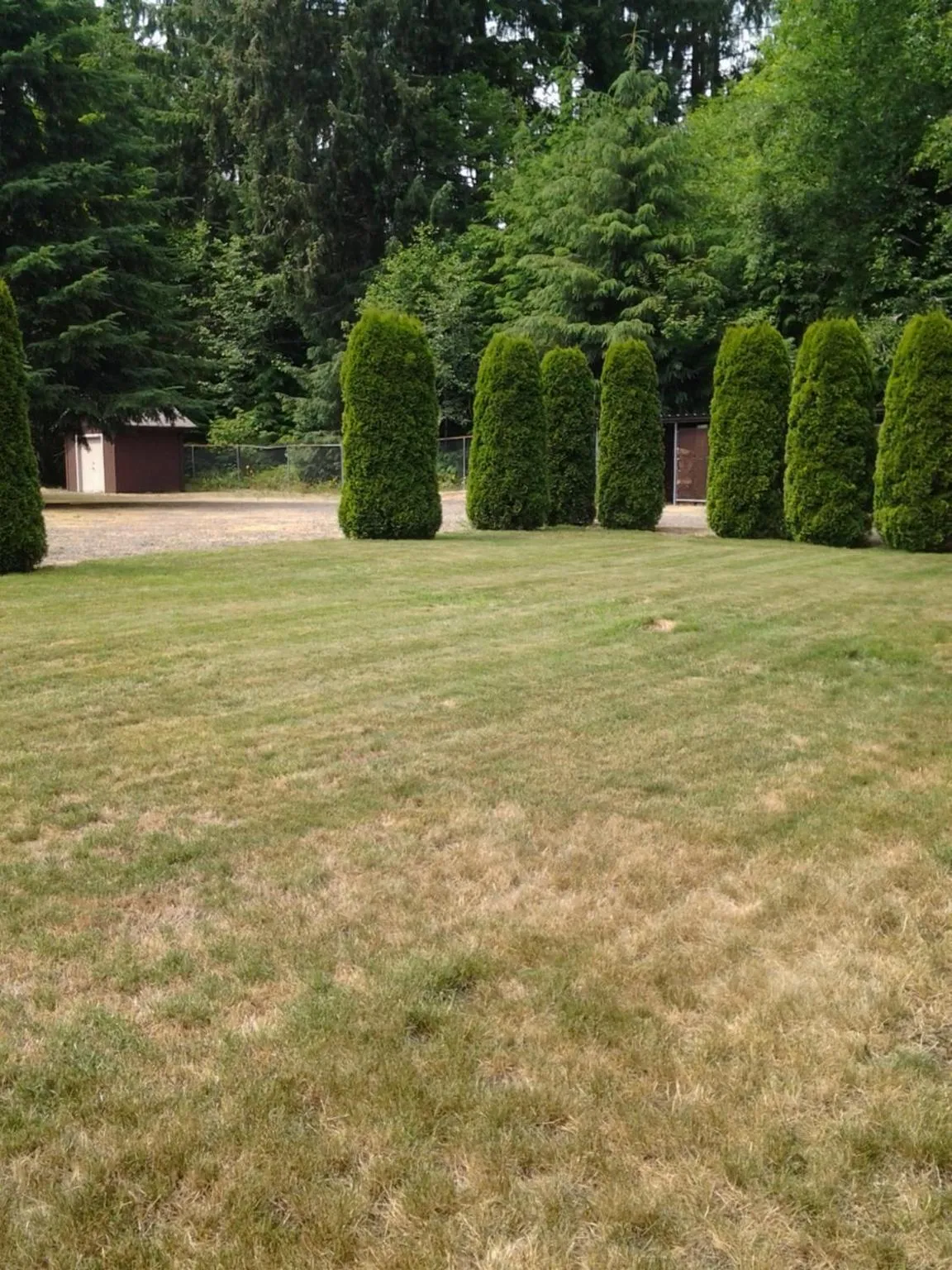 Facade/entrance in A Relaxing Getaway SolDuc 1