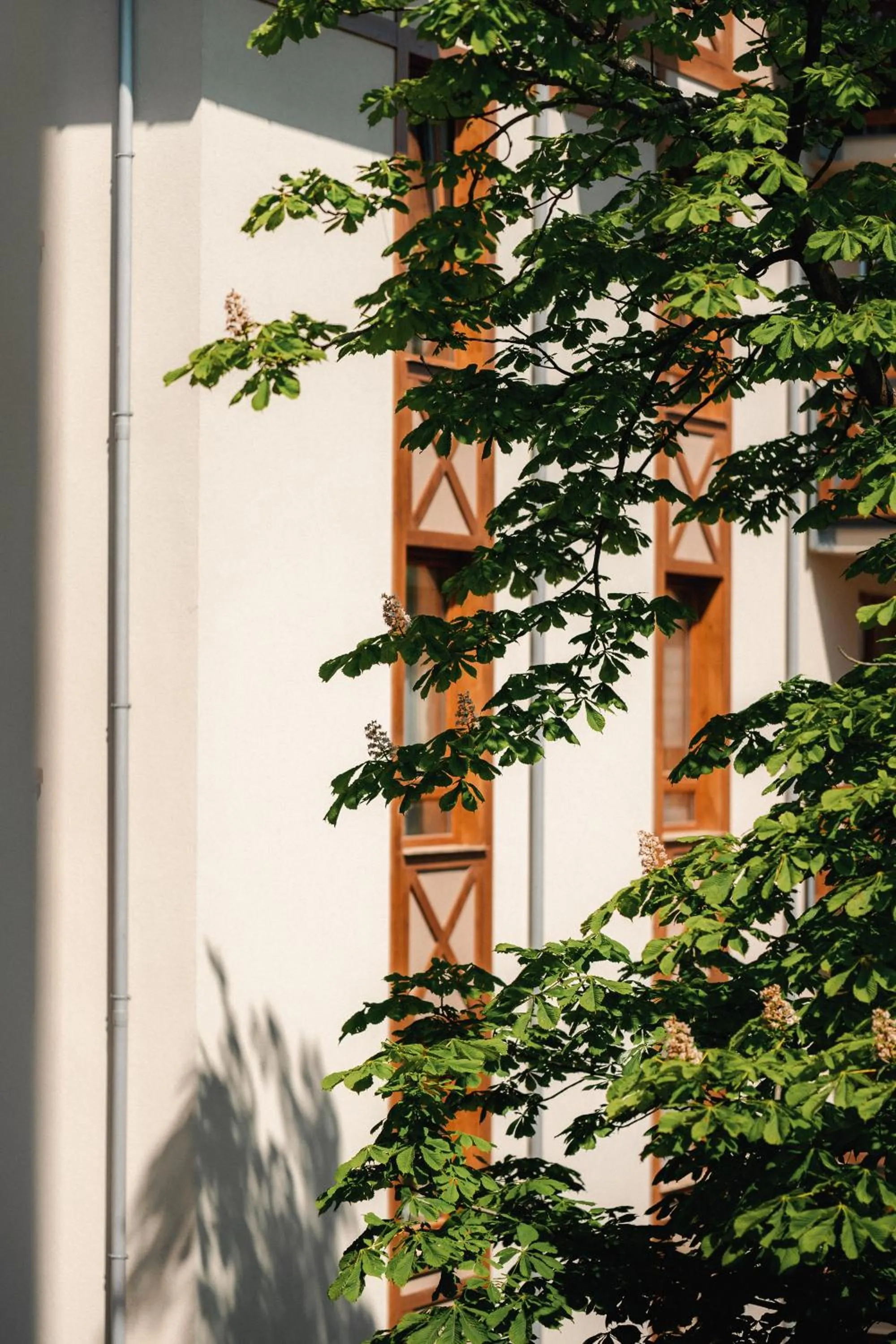 Property building in Sosnowe Tarasy