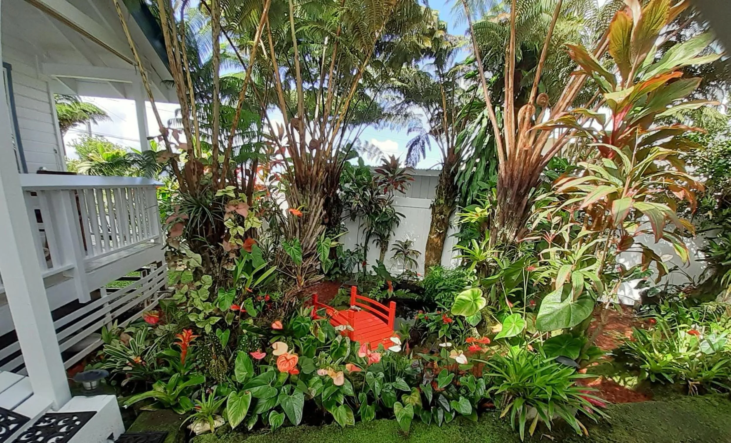 Garden in Paradise Cottage at Anthurium Hale