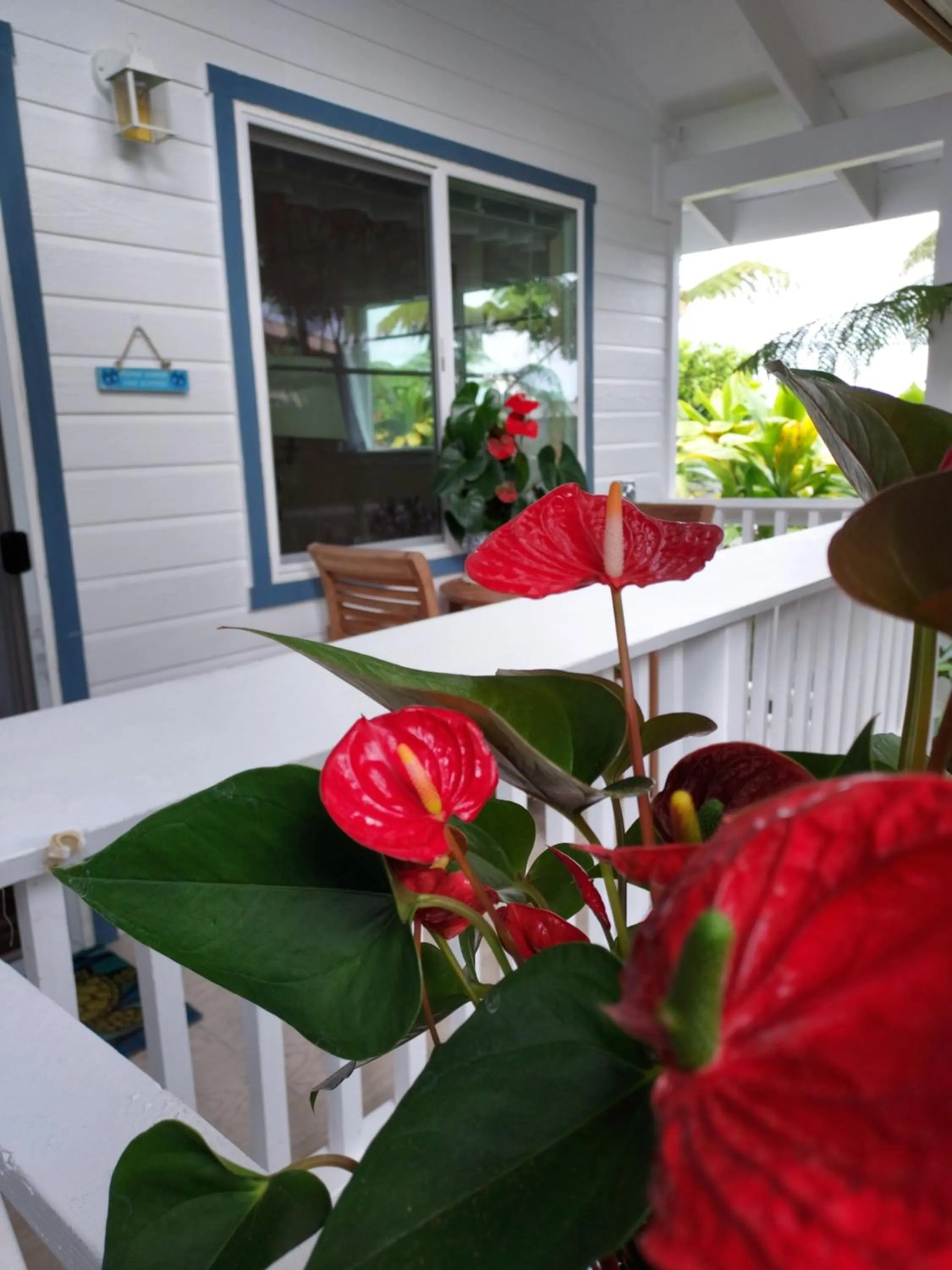 Paradise Cottage at Anthurium Hale