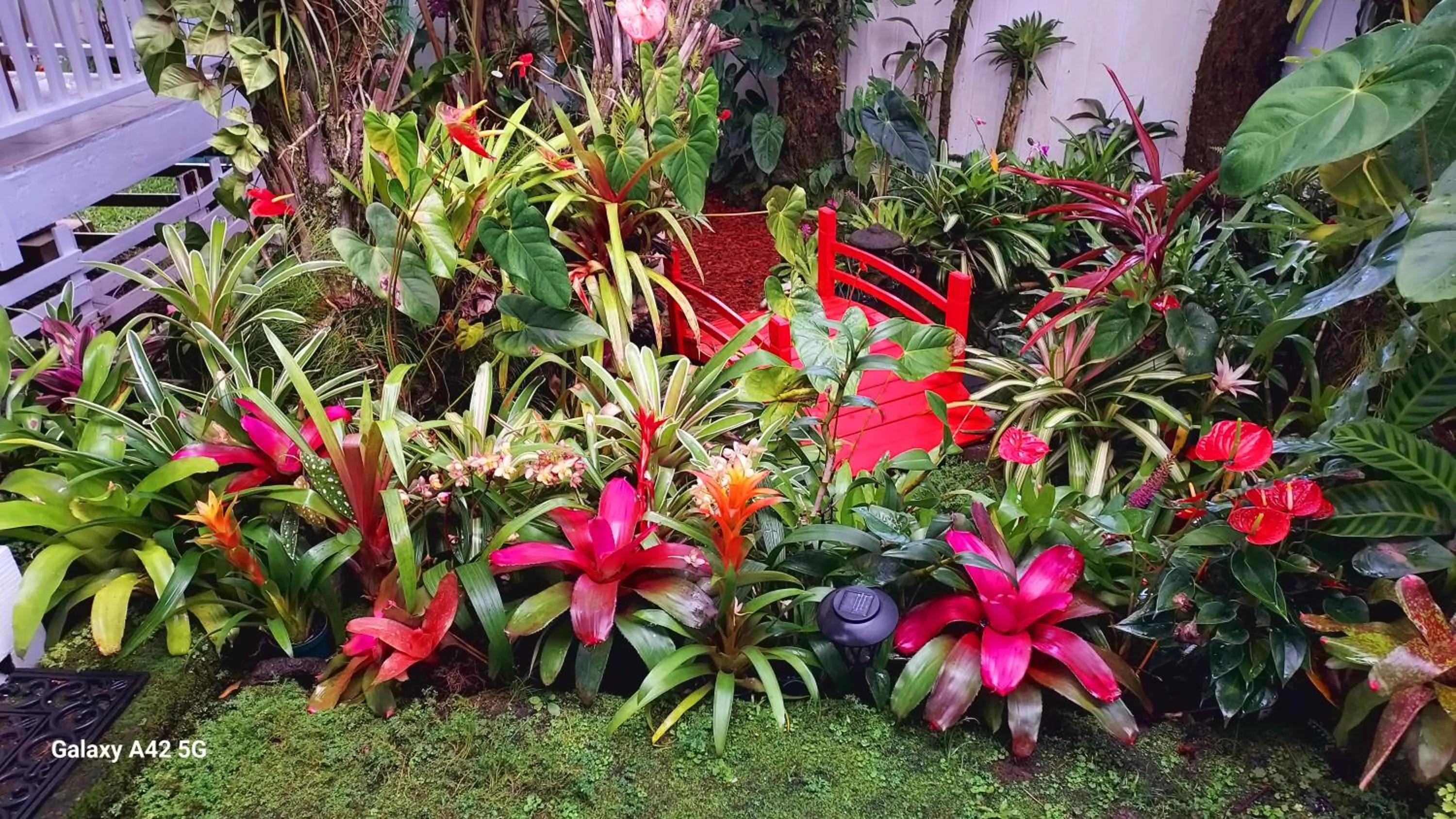 Paradise Cottage at Anthurium Hale