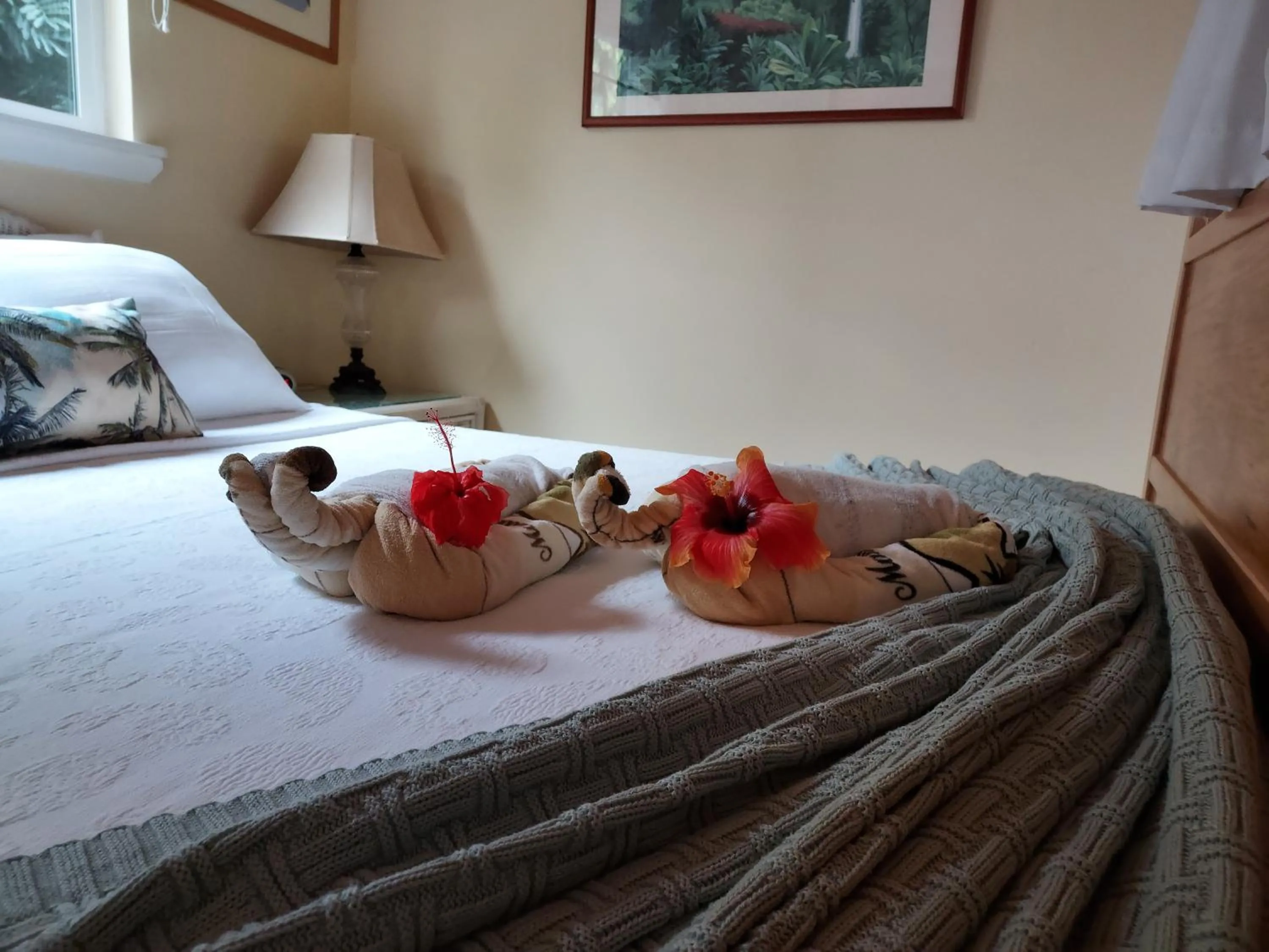 Bed in Paradise Cottage at Anthurium Hale