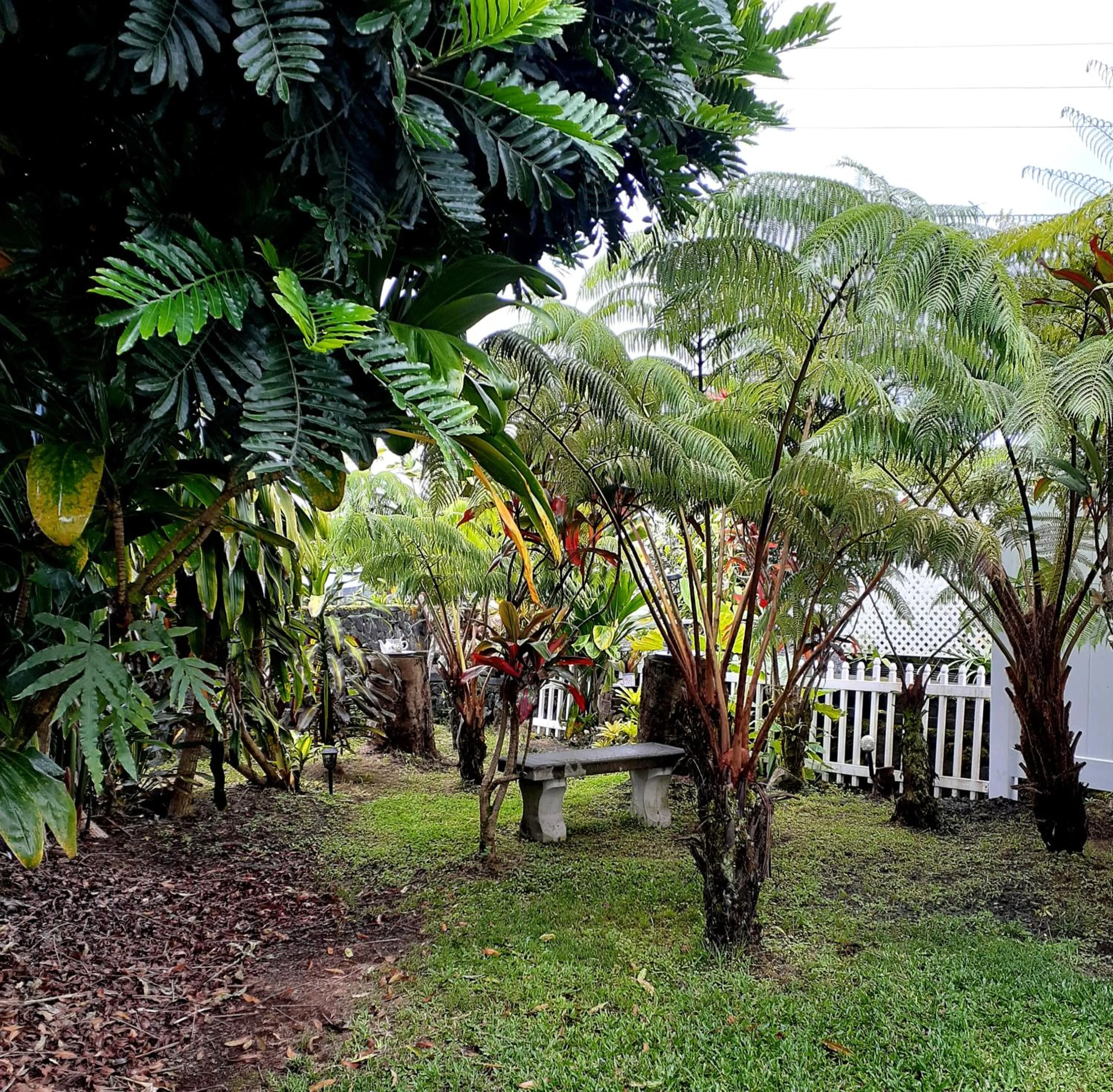 Garden in Paradise Cottage at Anthurium Hale