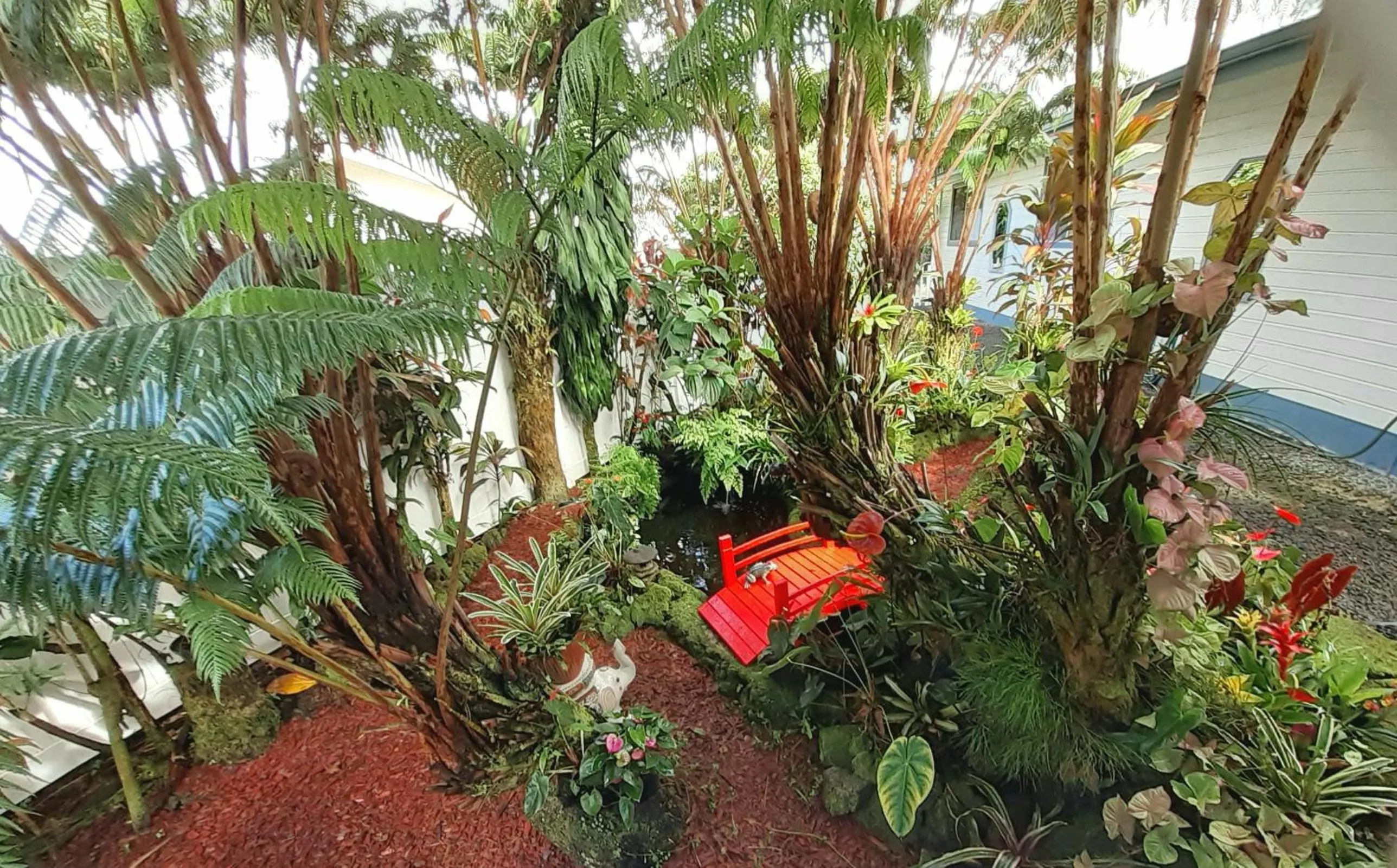 Garden in Paradise Cottage at Anthurium Hale