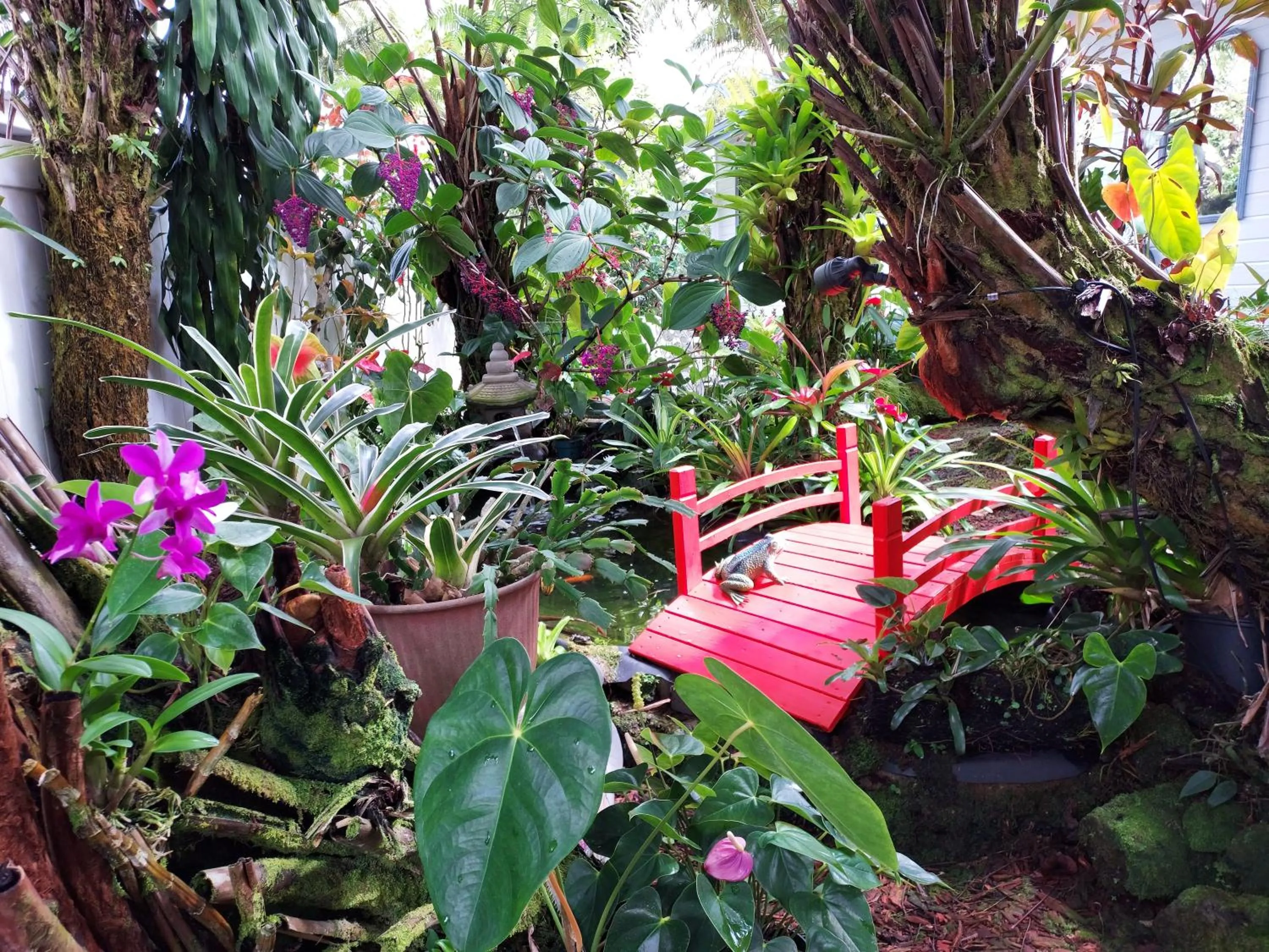 Paradise Cottage at Anthurium Hale