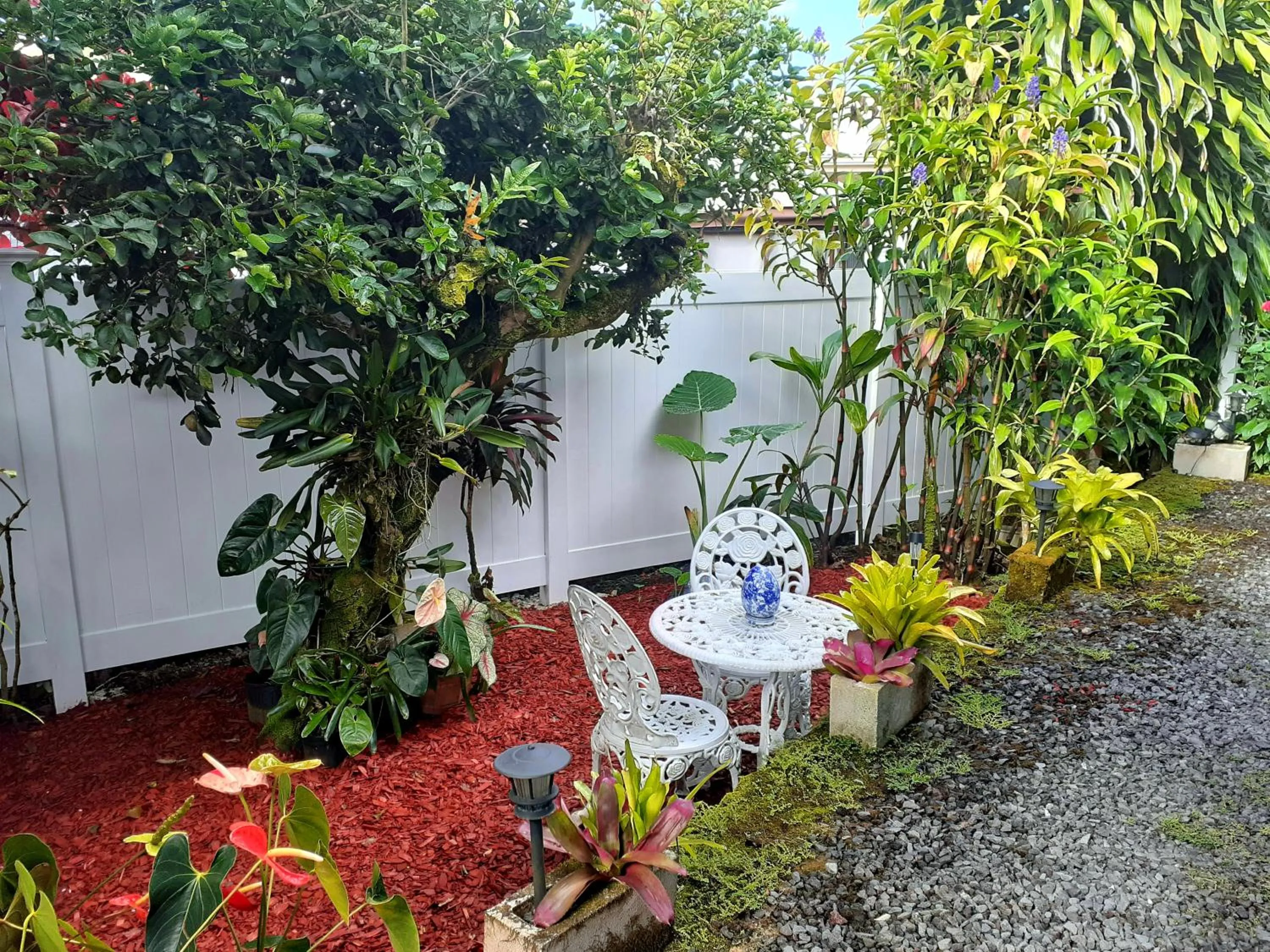 Garden in Paradise Cottage at Anthurium Hale