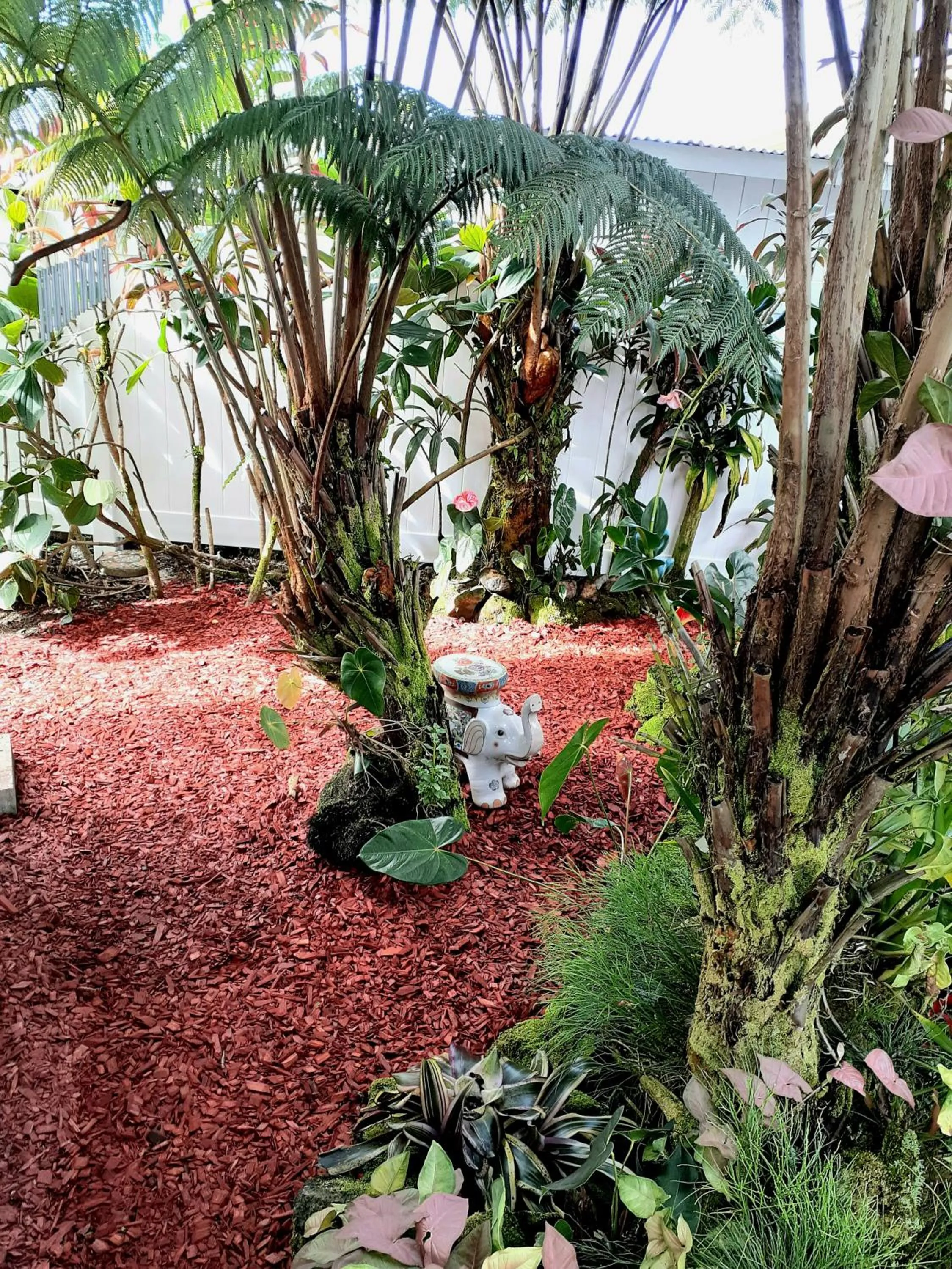 Garden in Paradise Cottage at Anthurium Hale