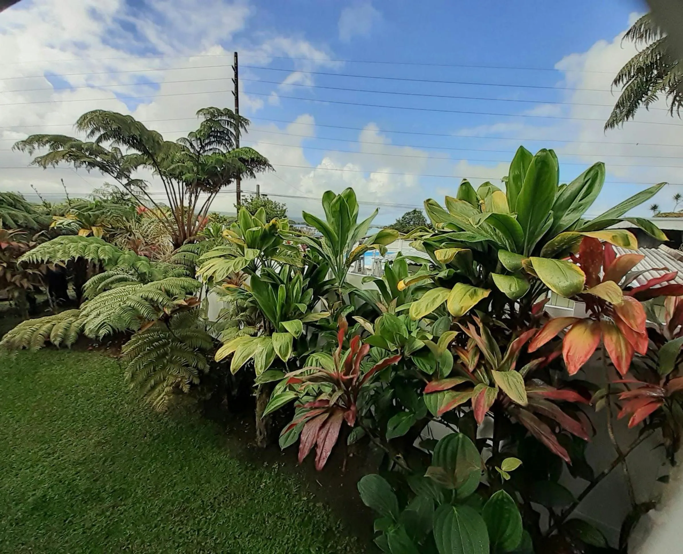 Garden in Paradise Cottage at Anthurium Hale