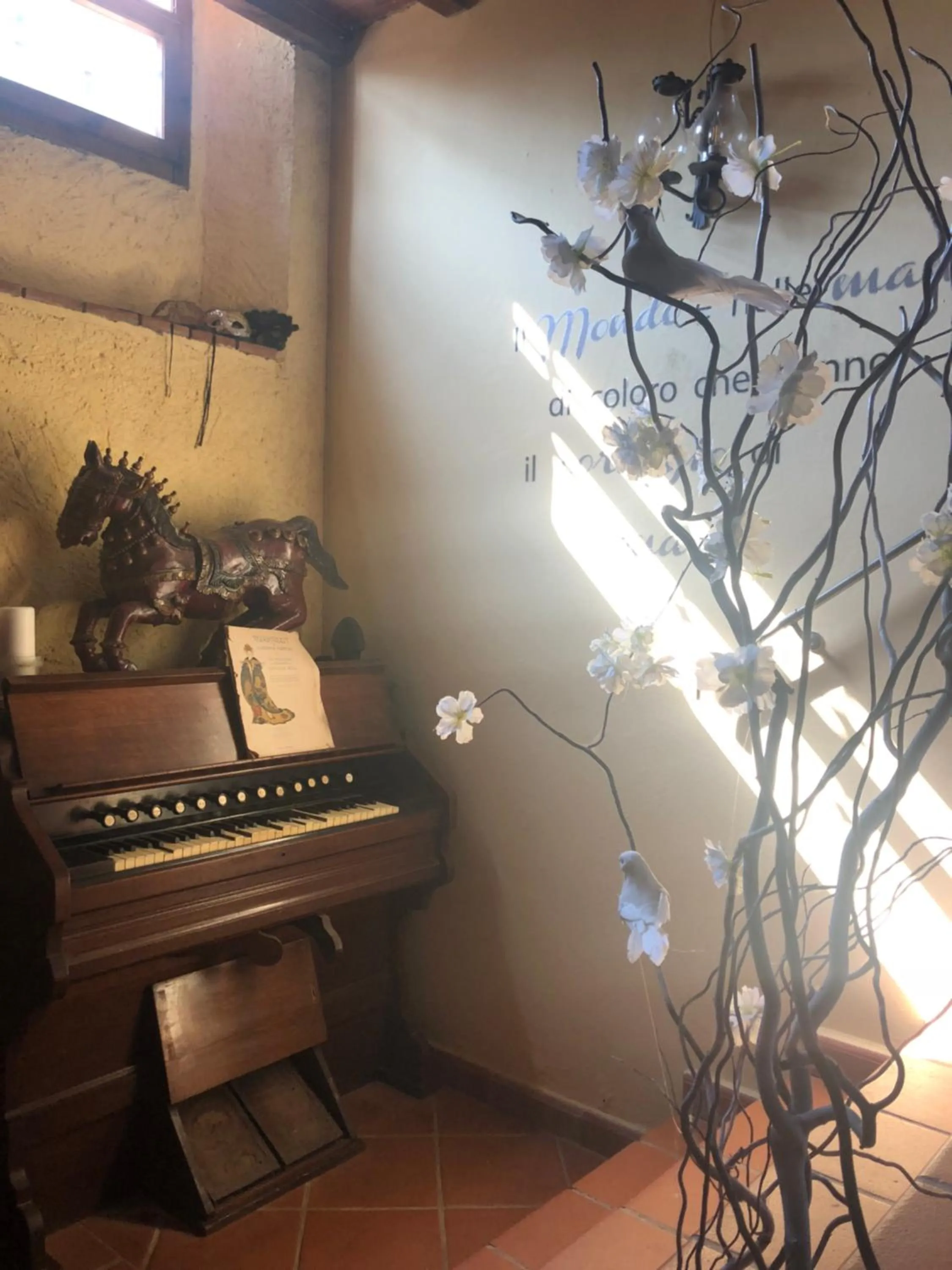 Guest House Antico Frantoio Pietrasanta Affittacamere