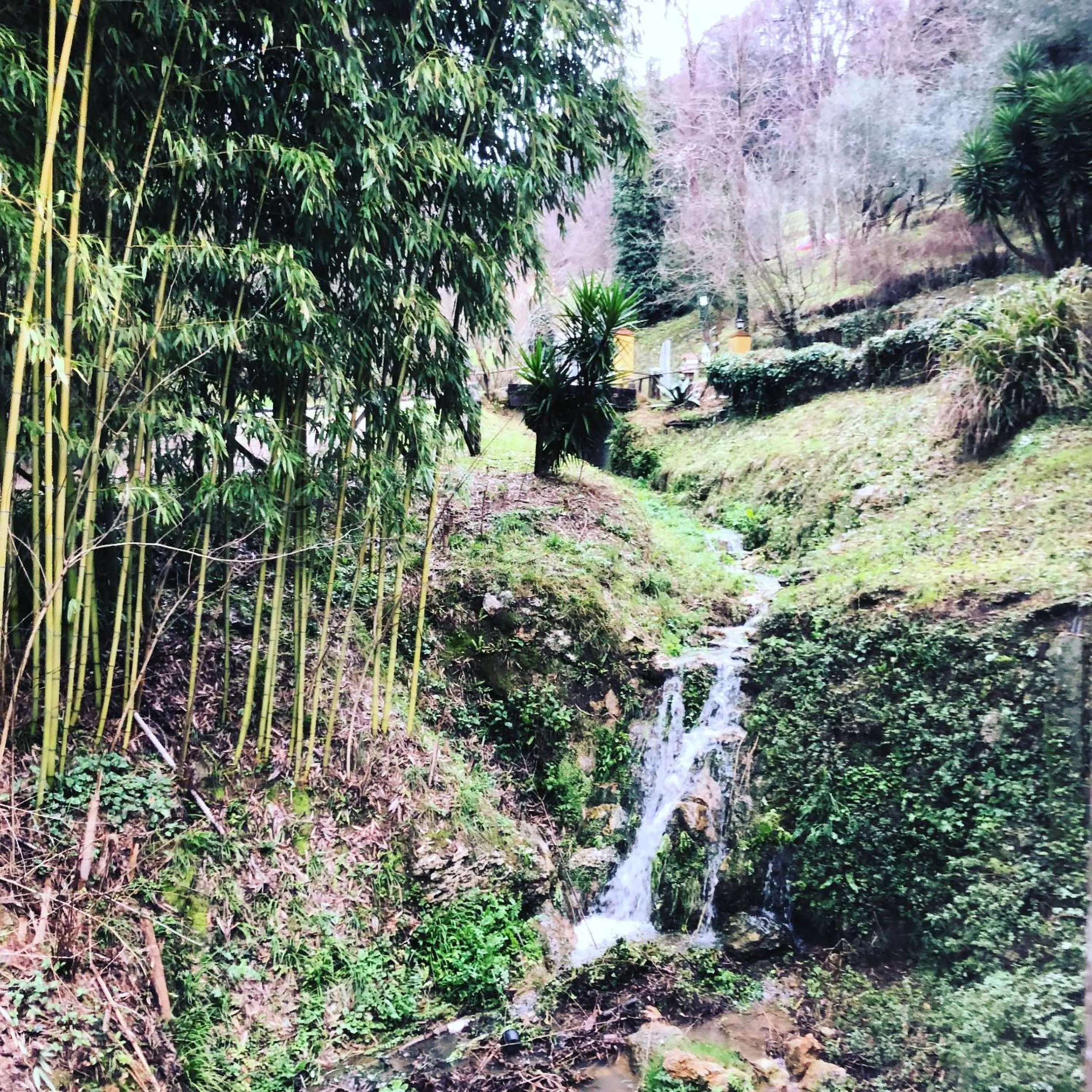 Natural landscape in Guest House Antico Frantoio Pietrasanta Affittacamere