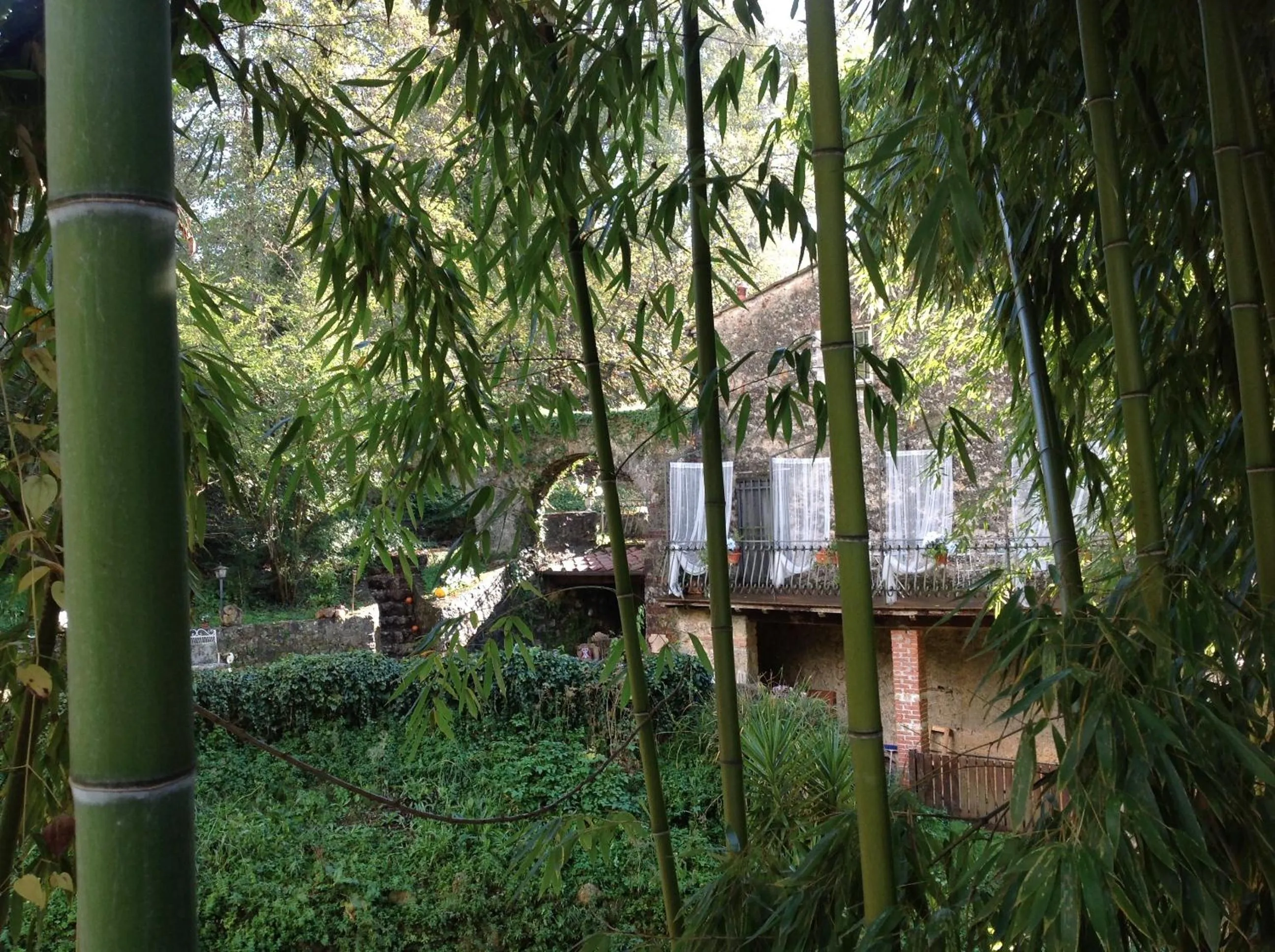 Garden in Guest House Antico Frantoio Pietrasanta Affittacamere