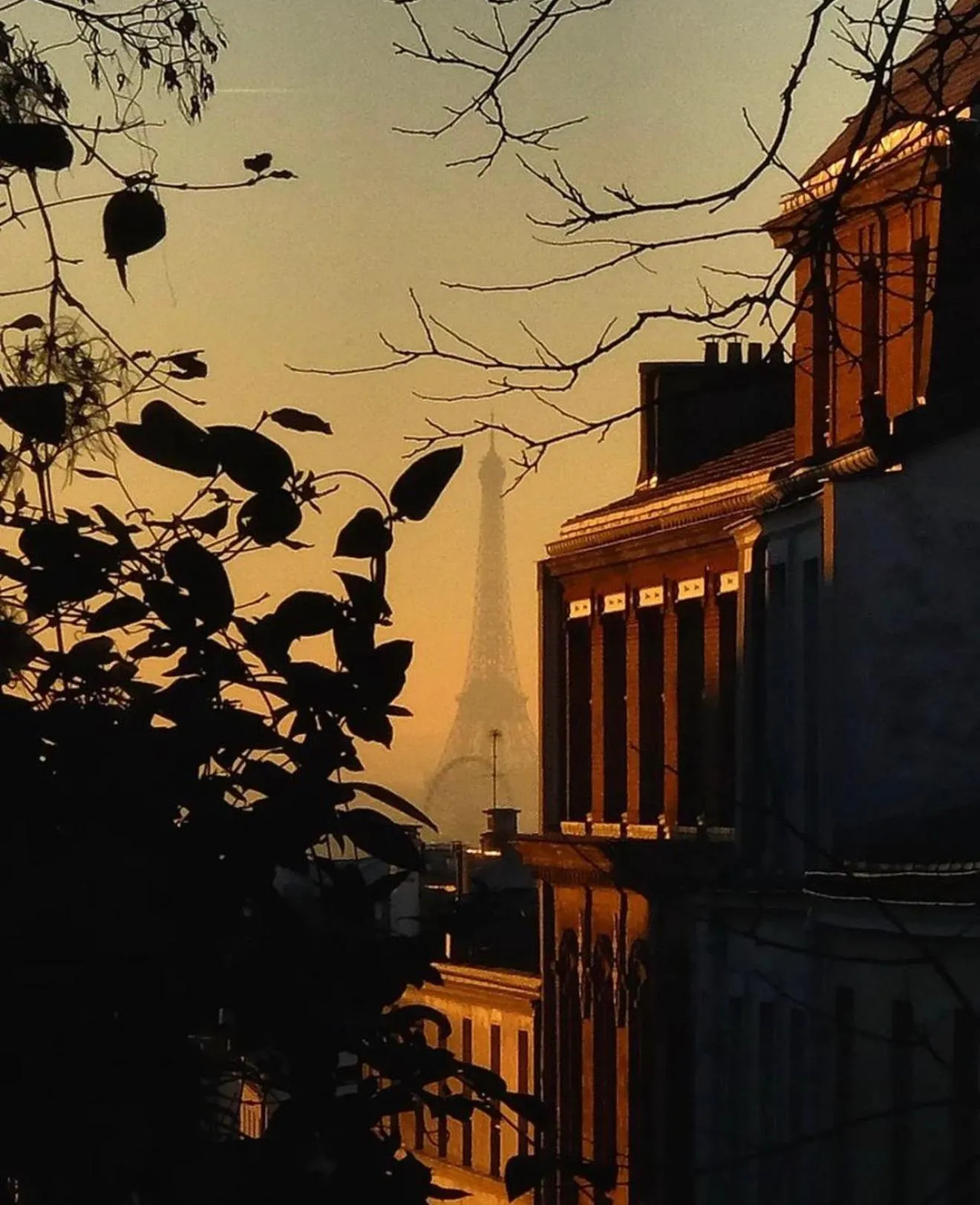 Suite Cocoon Paris