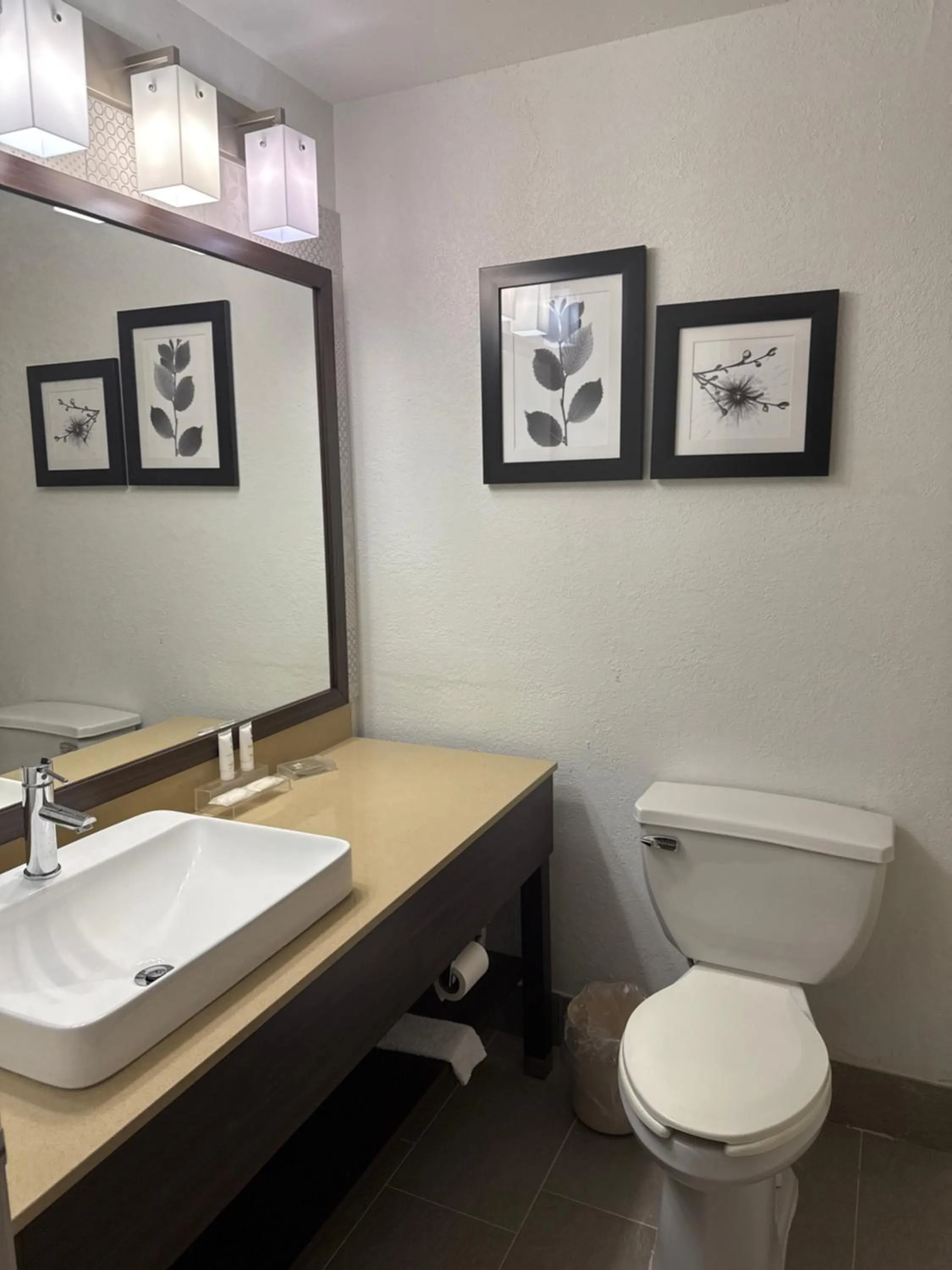 Toilet in Country Inn & Suites by Radisson, Elgin, IL