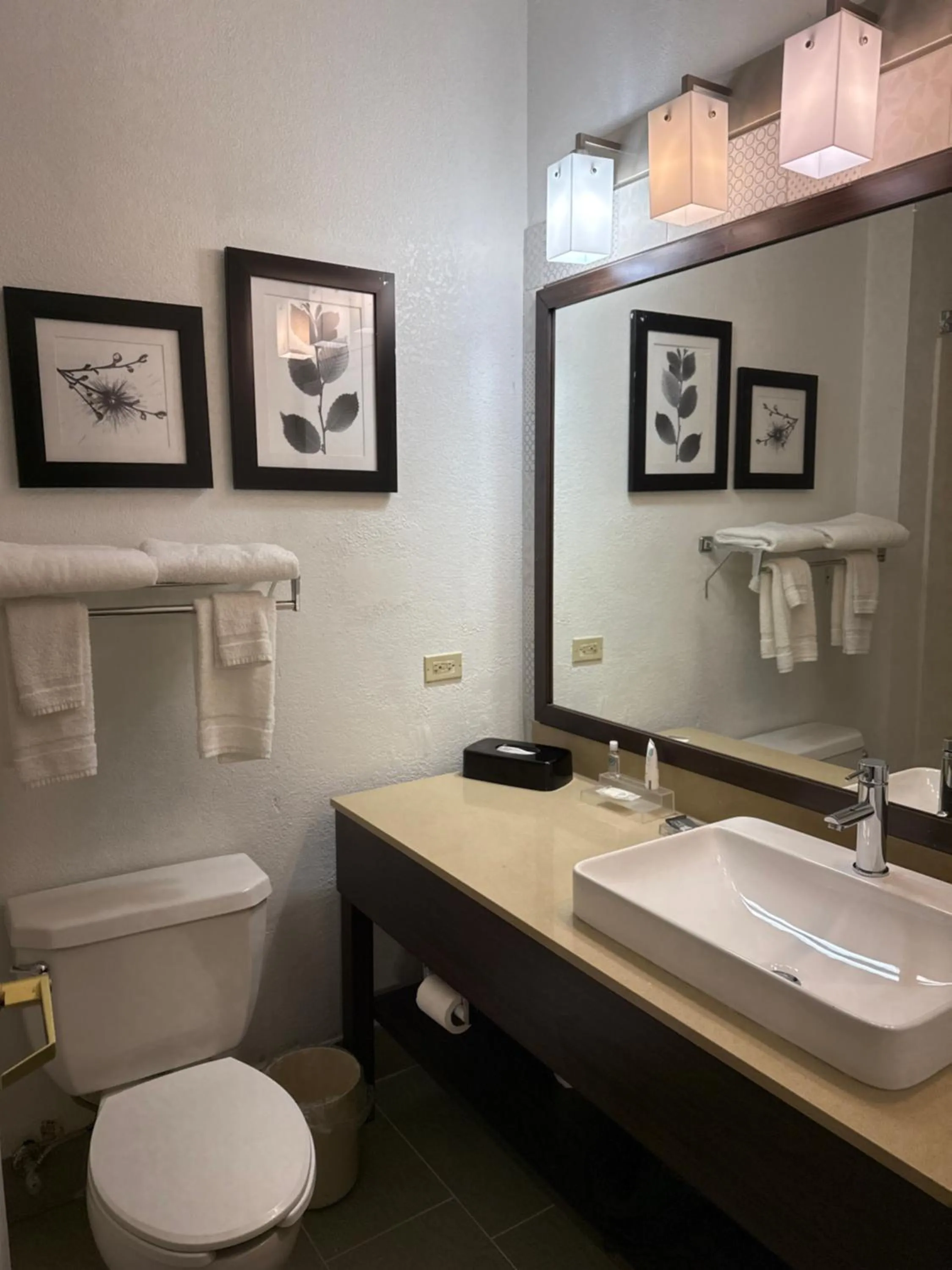 Bathroom in Country Inn & Suites by Radisson, Elgin, IL