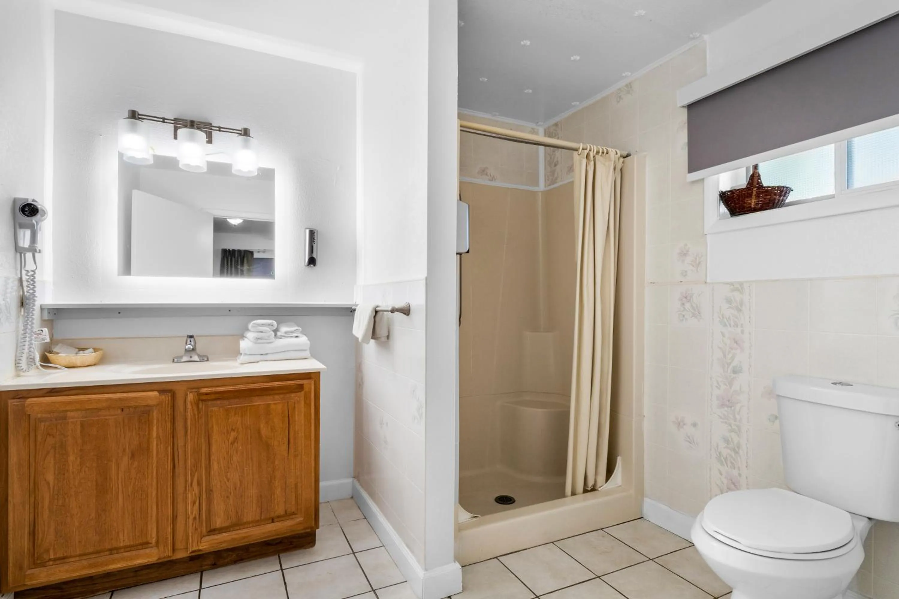 Shower in Americas Best Value Inn Jonesville/Hillsdale