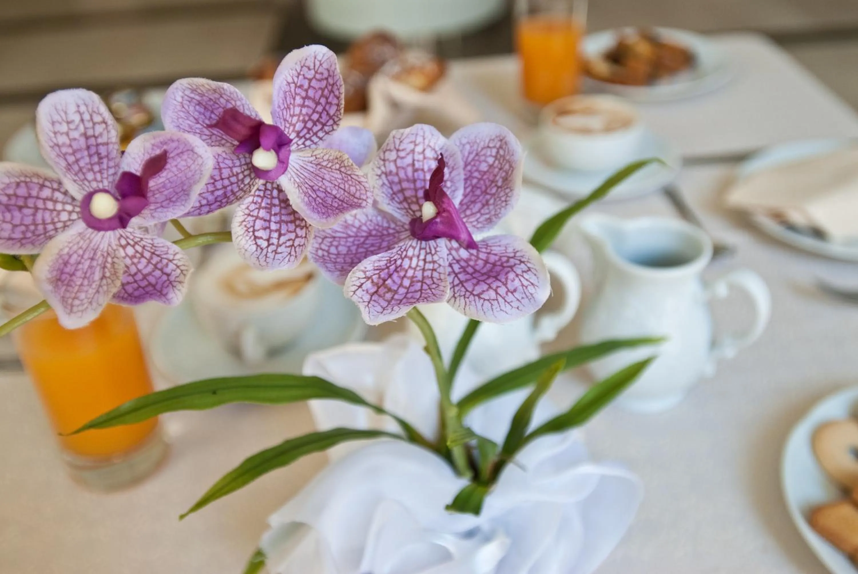 Food and drinks in Hotel San Domenico Al Piano