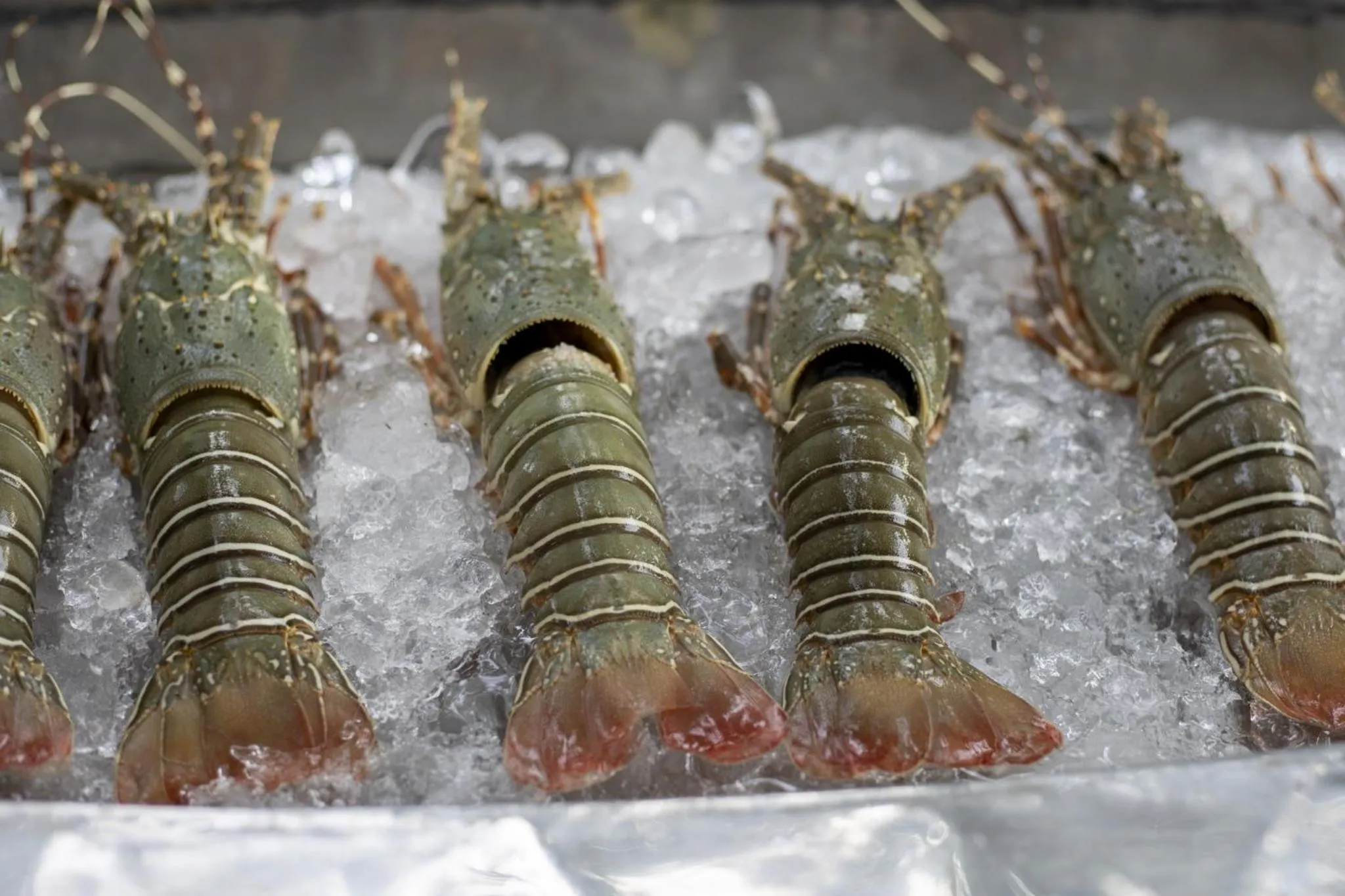 Railay Bay Resort & Spa