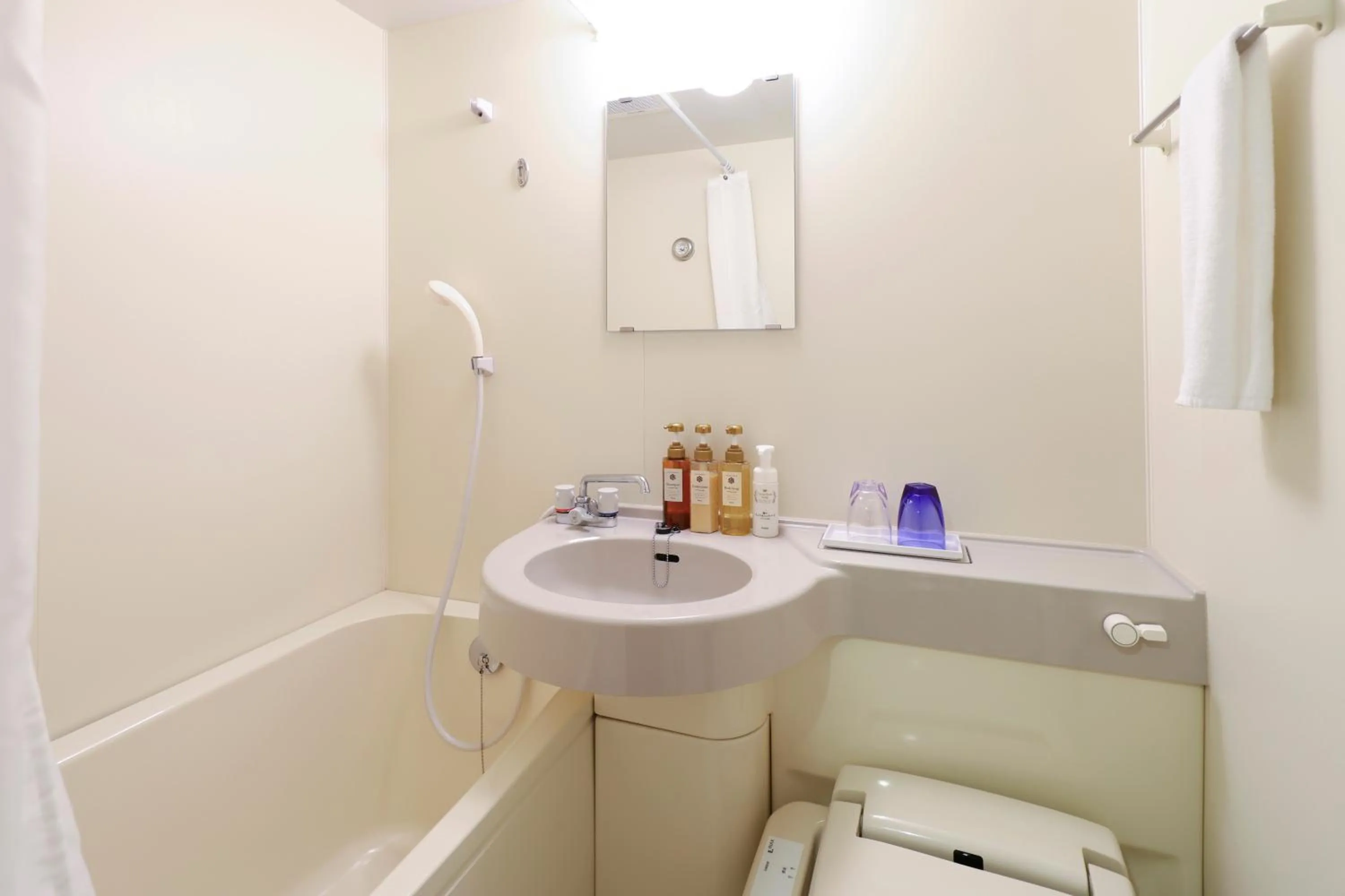 Bathroom in Dormy Inn Express Mikawaanjo