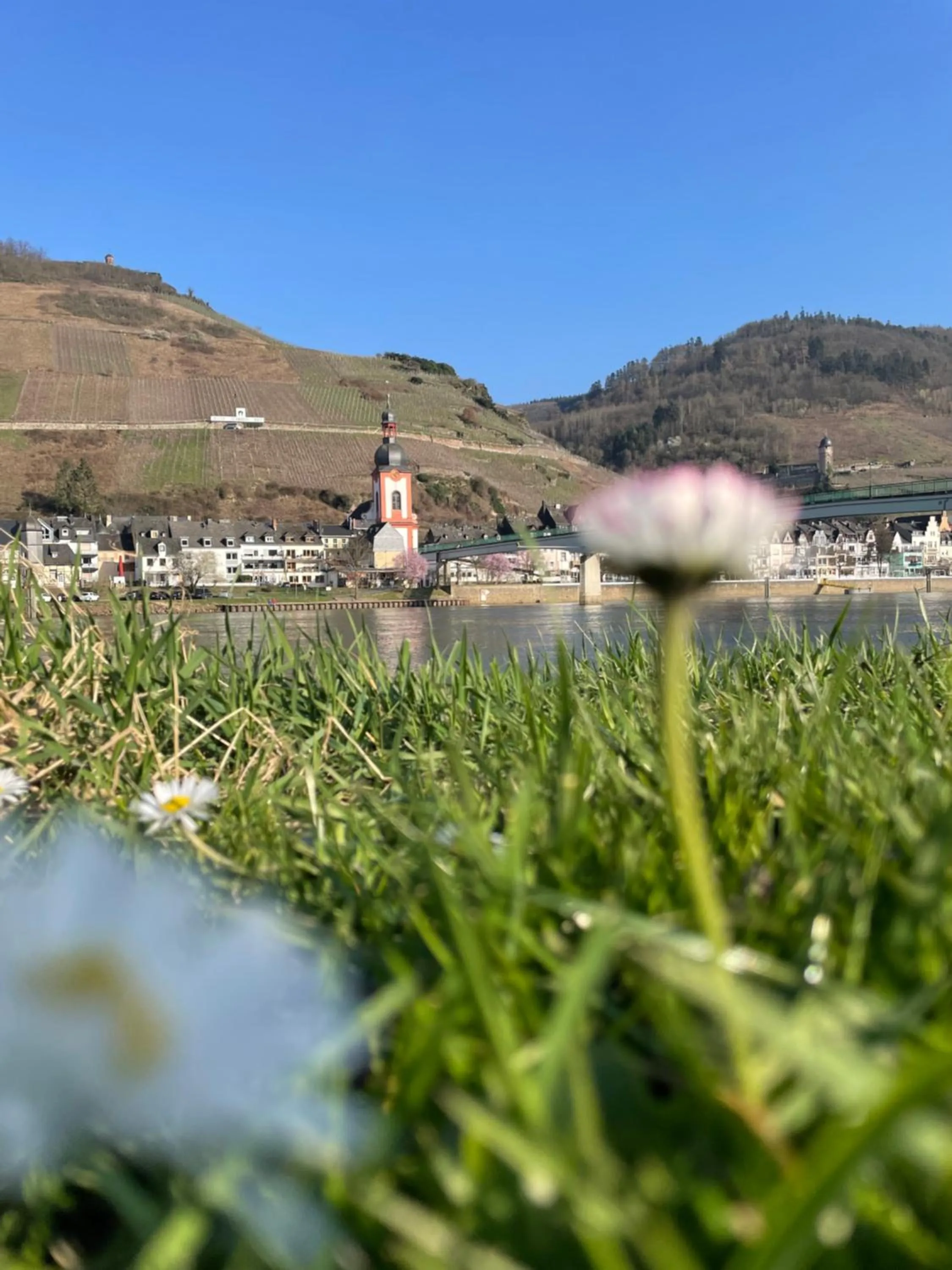 Spring in Hotel Schloss Zell