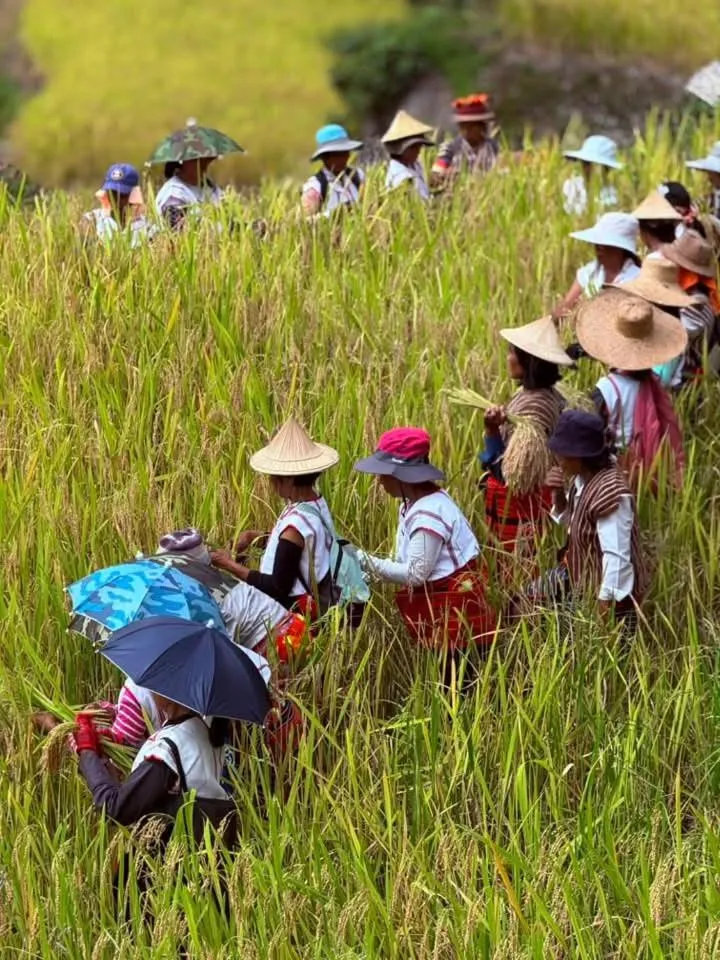 BATAD CRISTINA'S Main Village INN & Restaurant