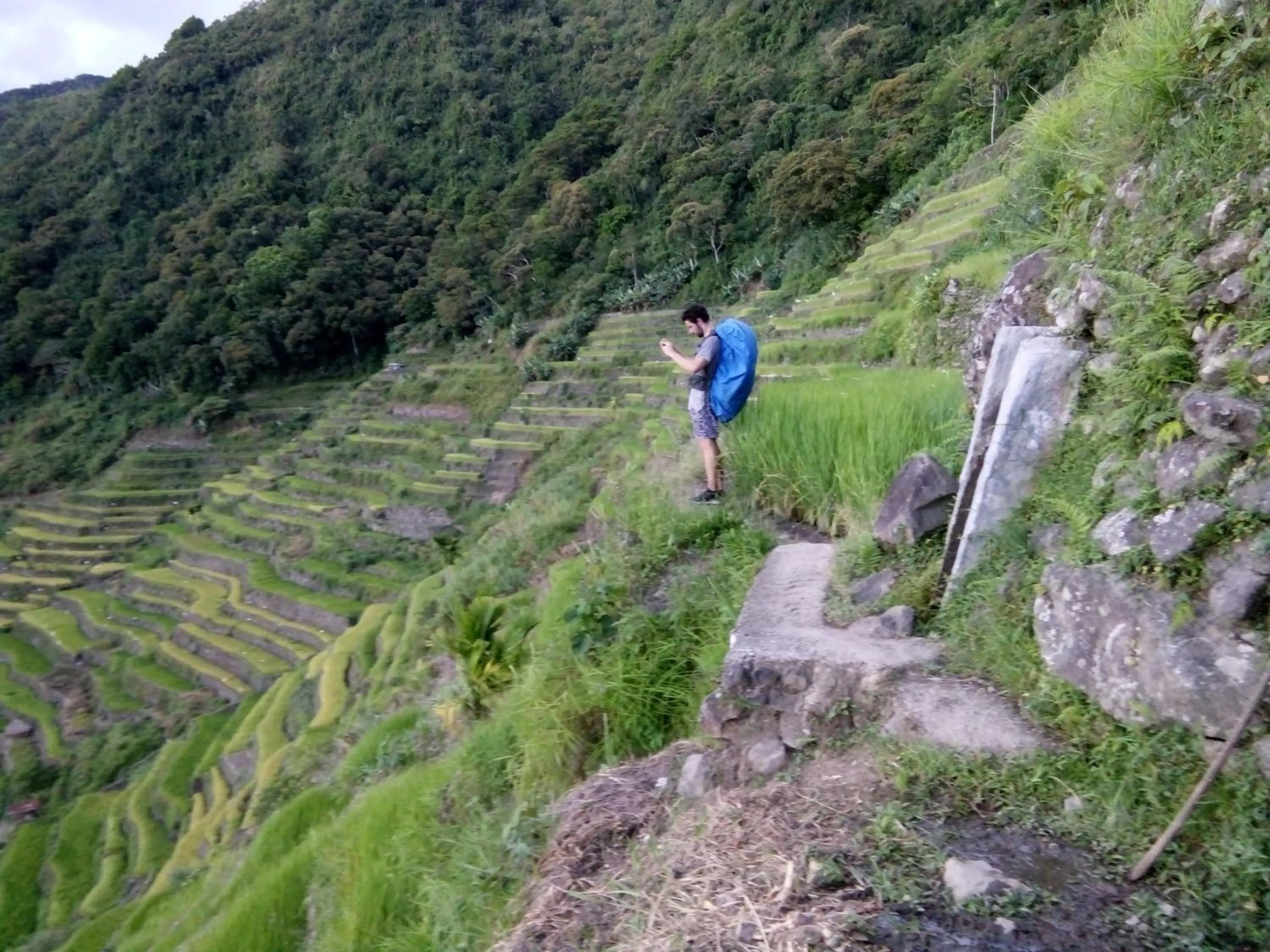 Natural landscape in BATAD CRISTINA'S Main Village INN & Restaurant