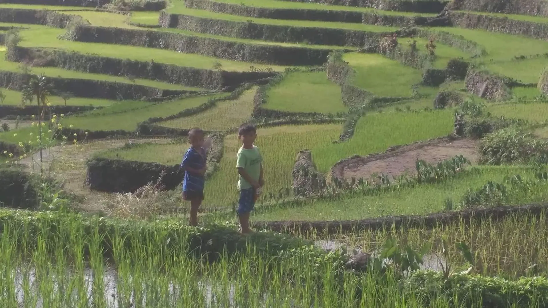 BATAD CRISTINA'S Main Village INN & Restaurant