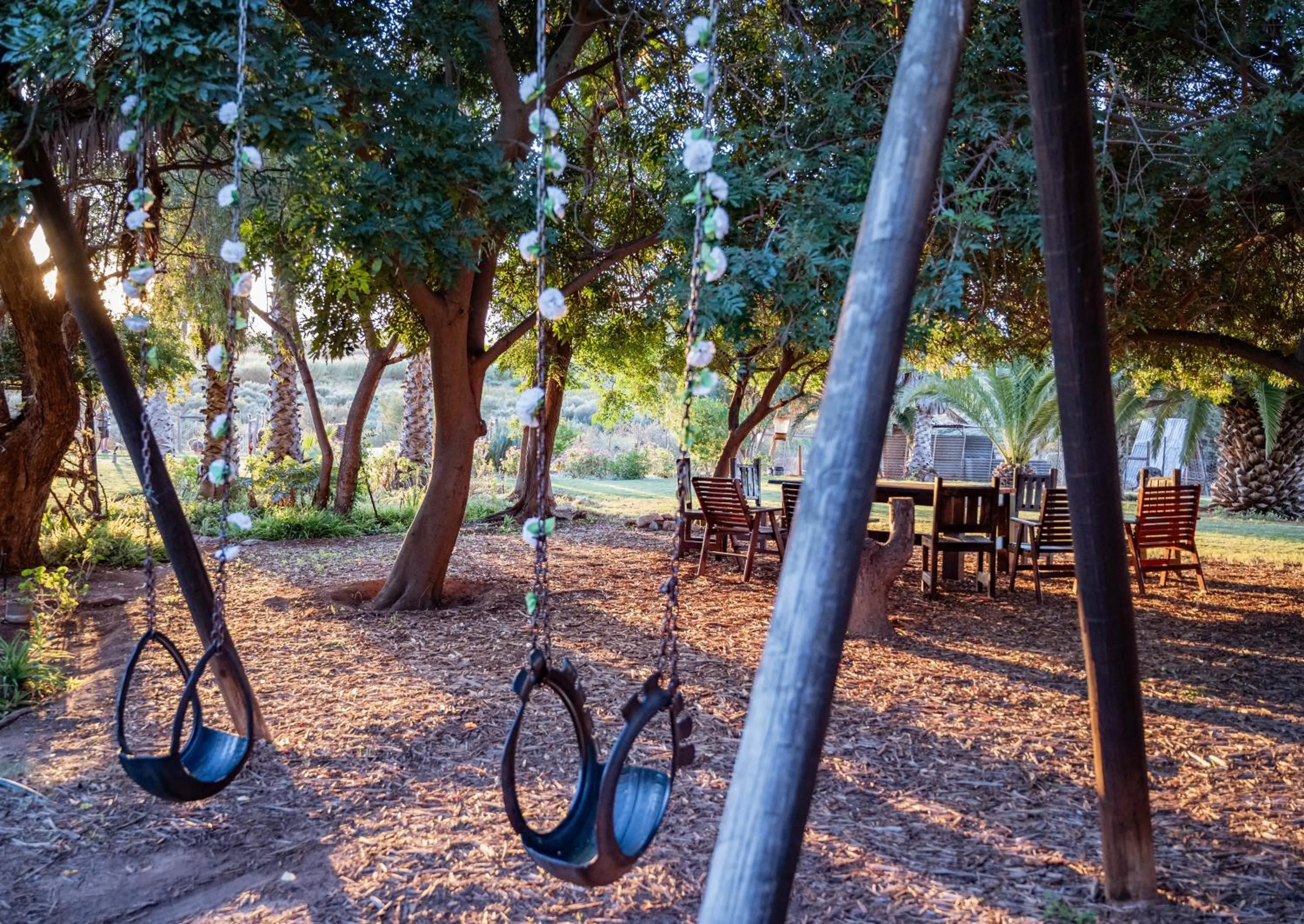 Natural landscape in De Denne Country Guest House