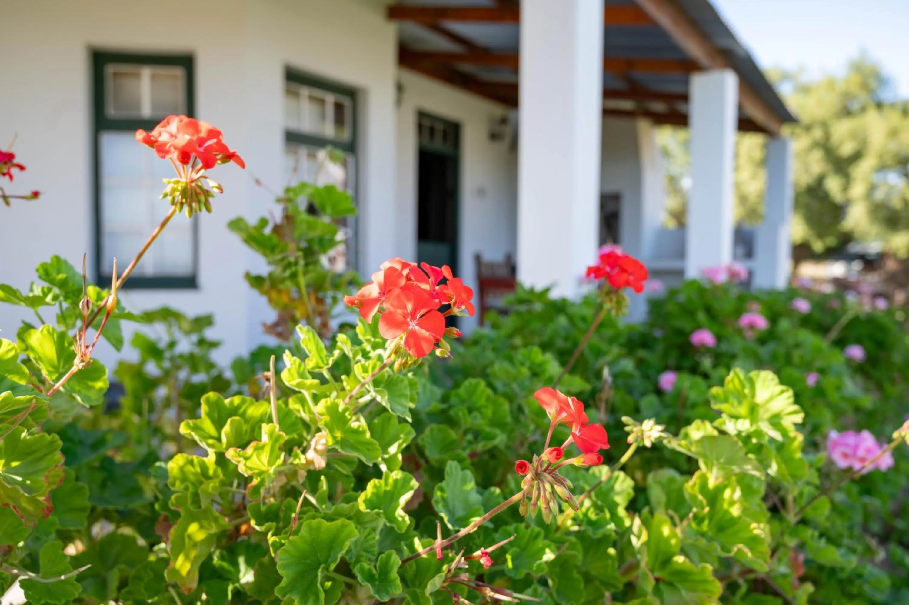 Day in De Denne Country Guest House