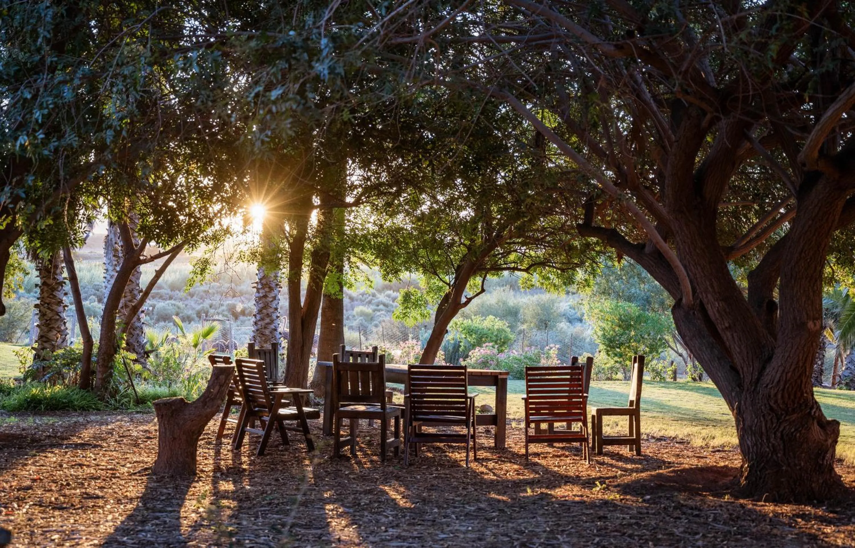 Natural landscape in De Denne Country Guest House