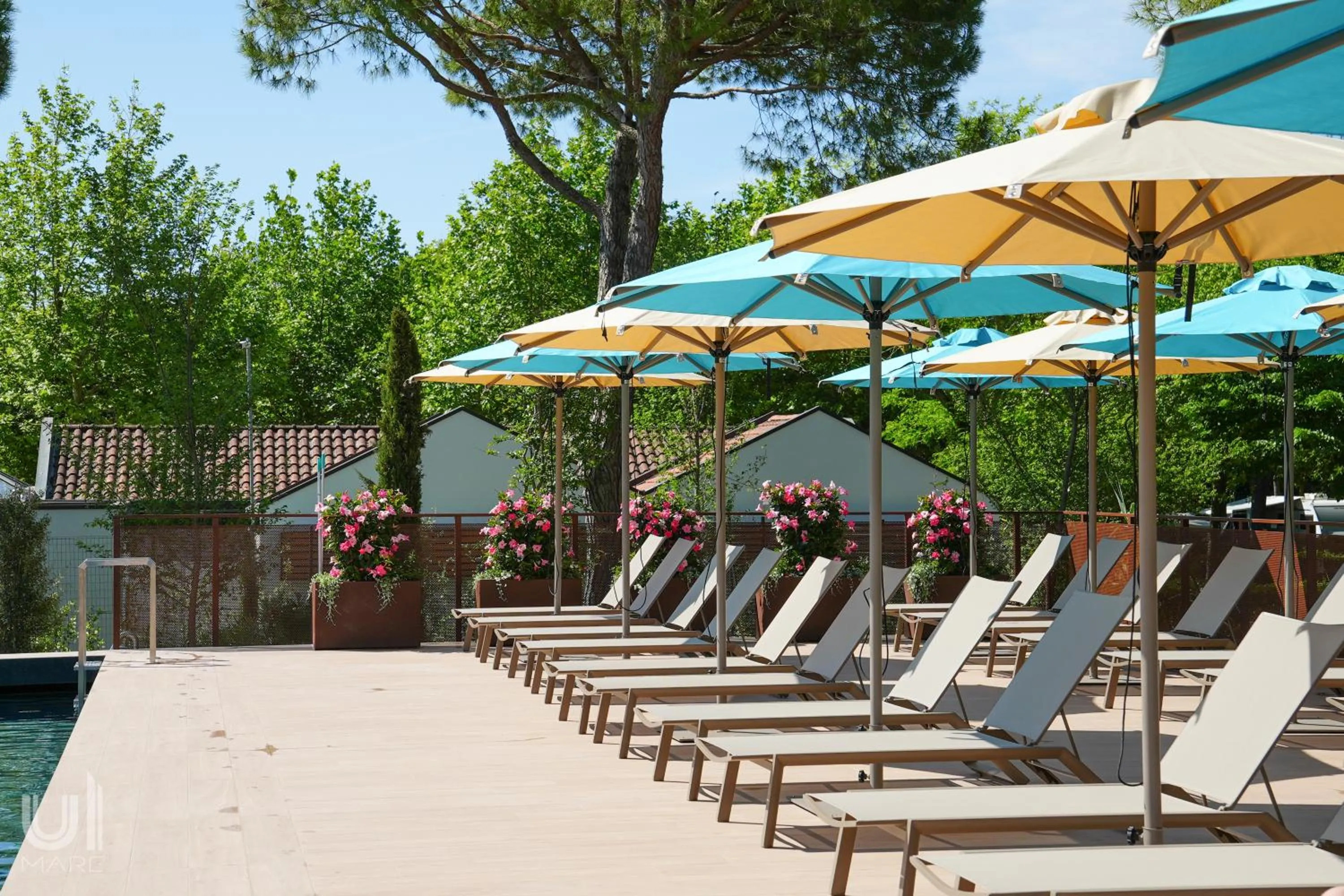Solarium in Luxury Camp at Union Lido