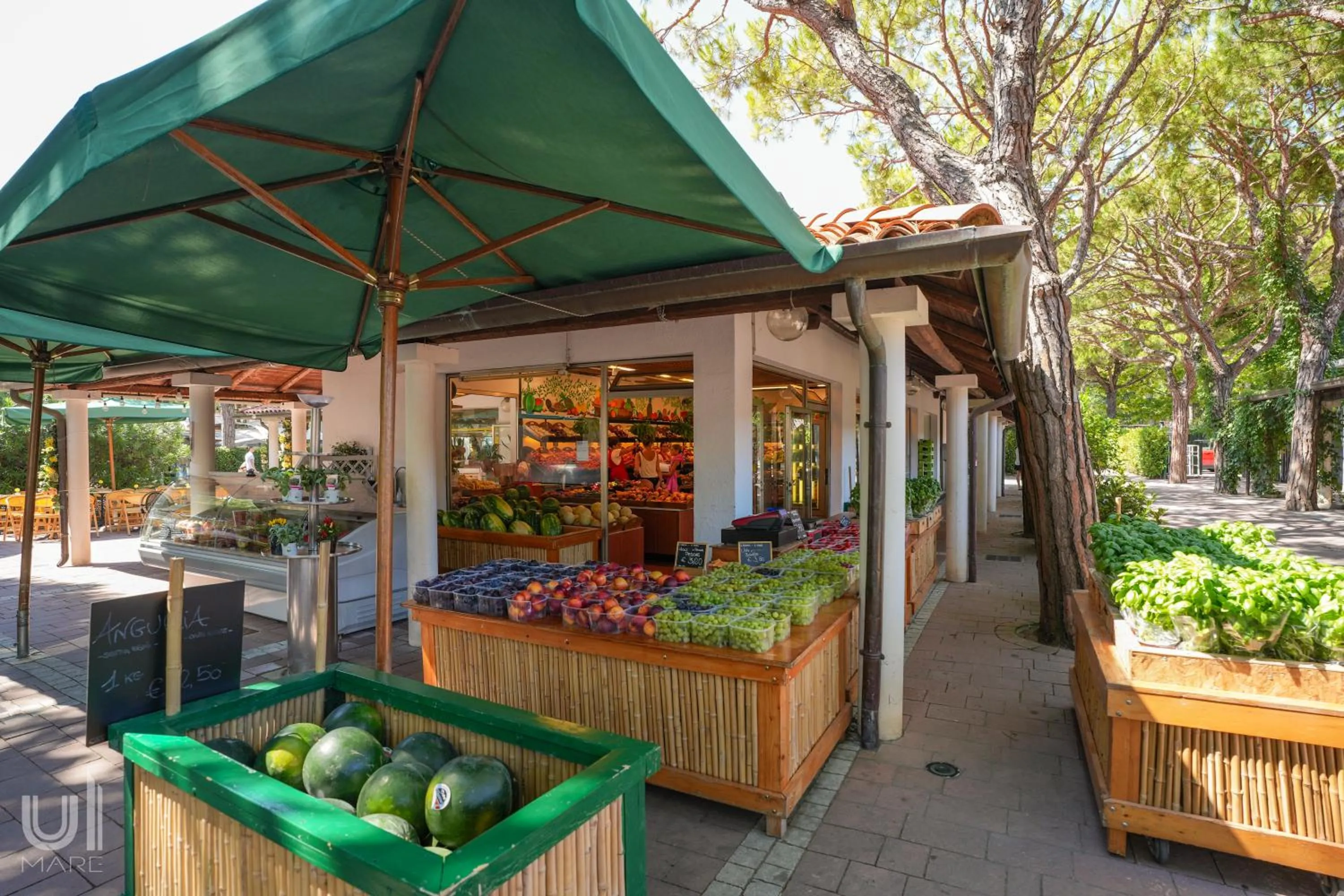 Luxury Camp at Union Lido