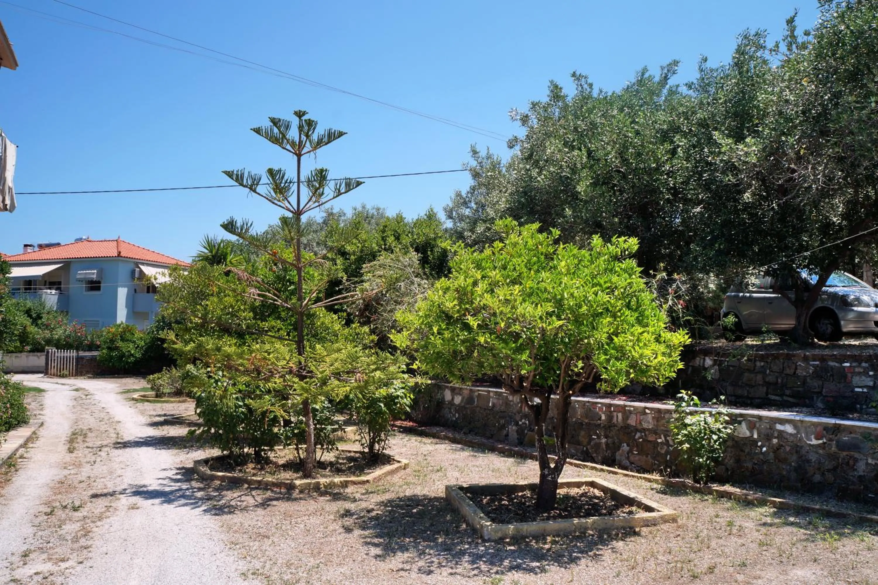 Garden in Pefka Rooms