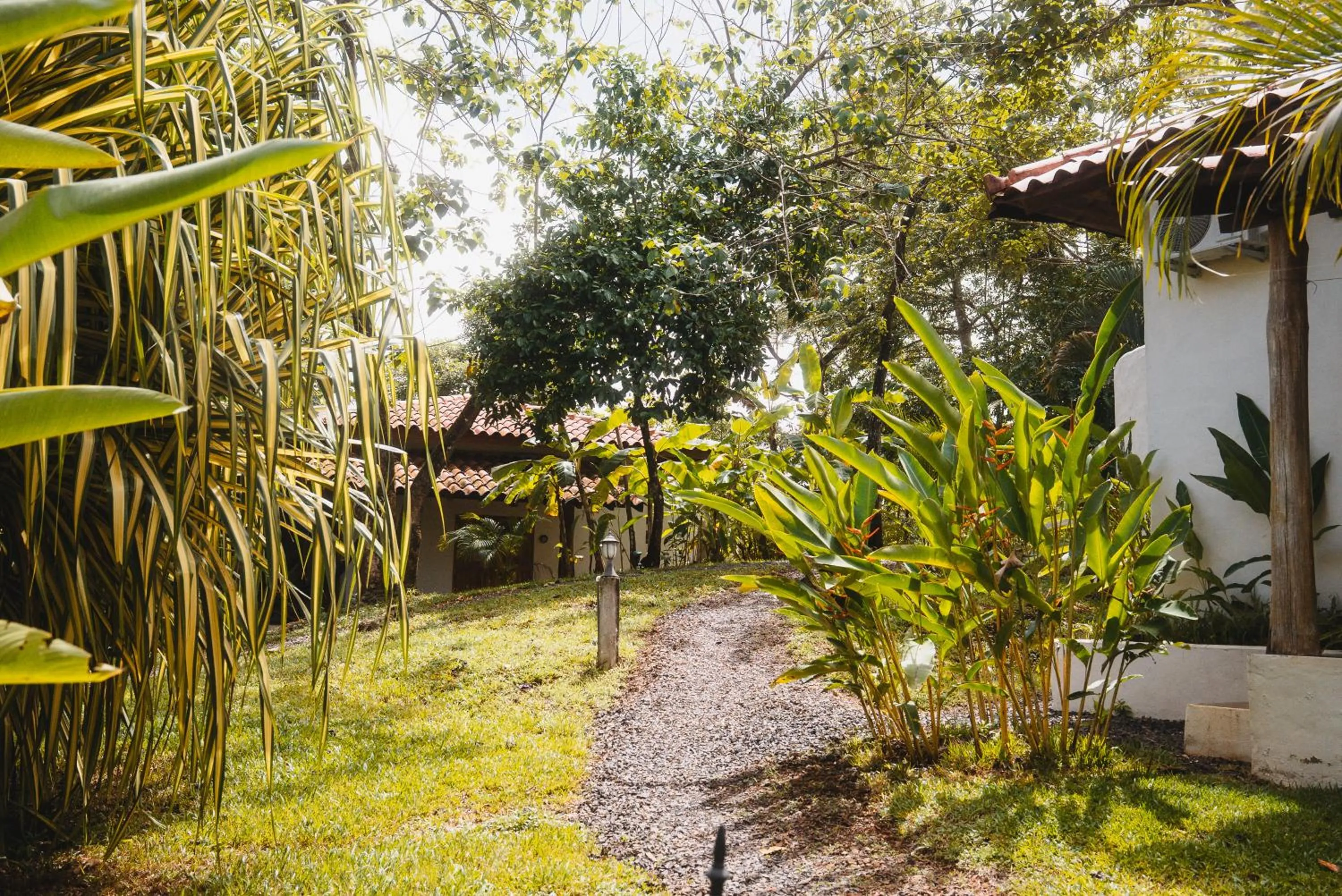 Natural landscape in Villa Coco