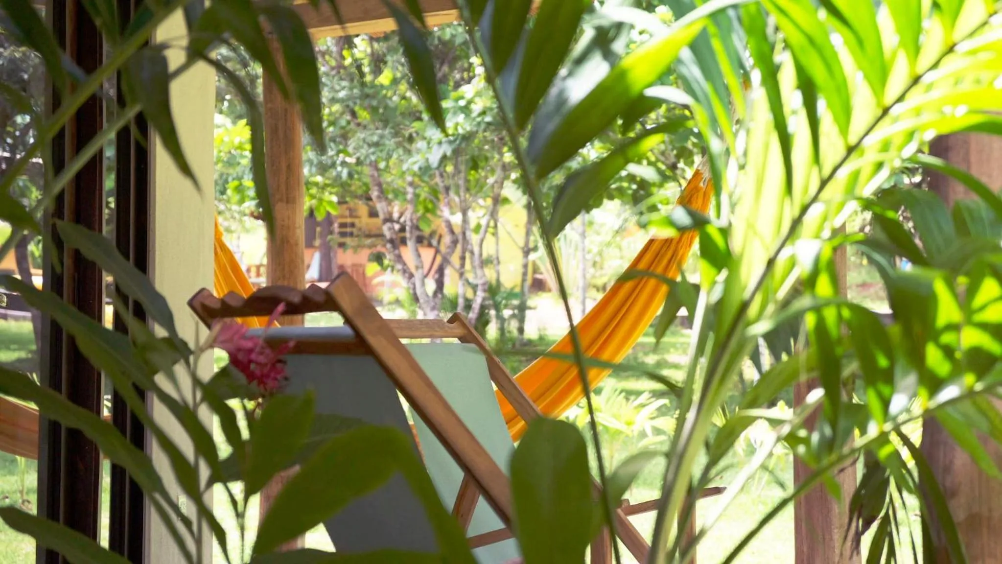 Garden in Villa Coco