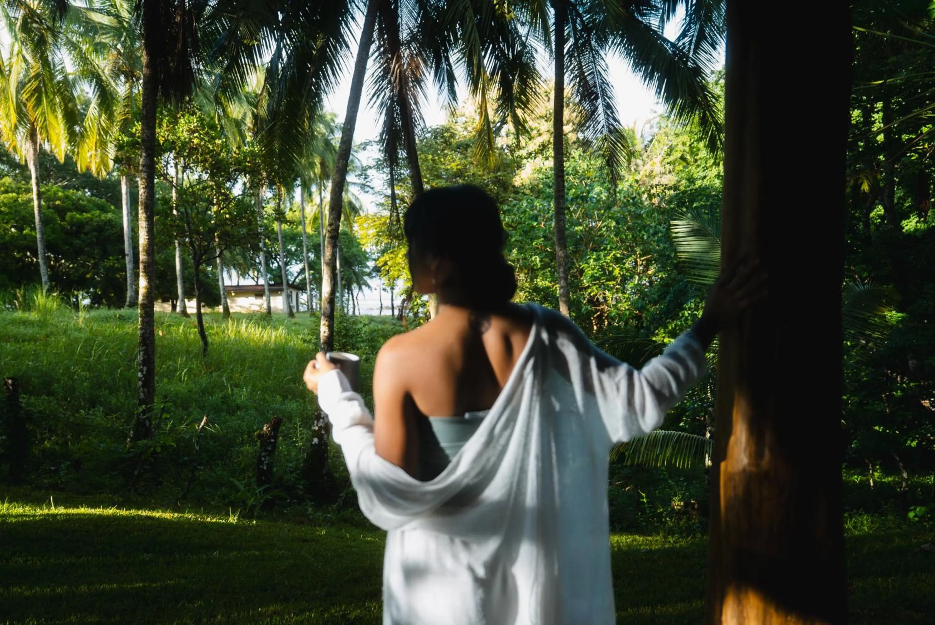 Garden in Villa Coco