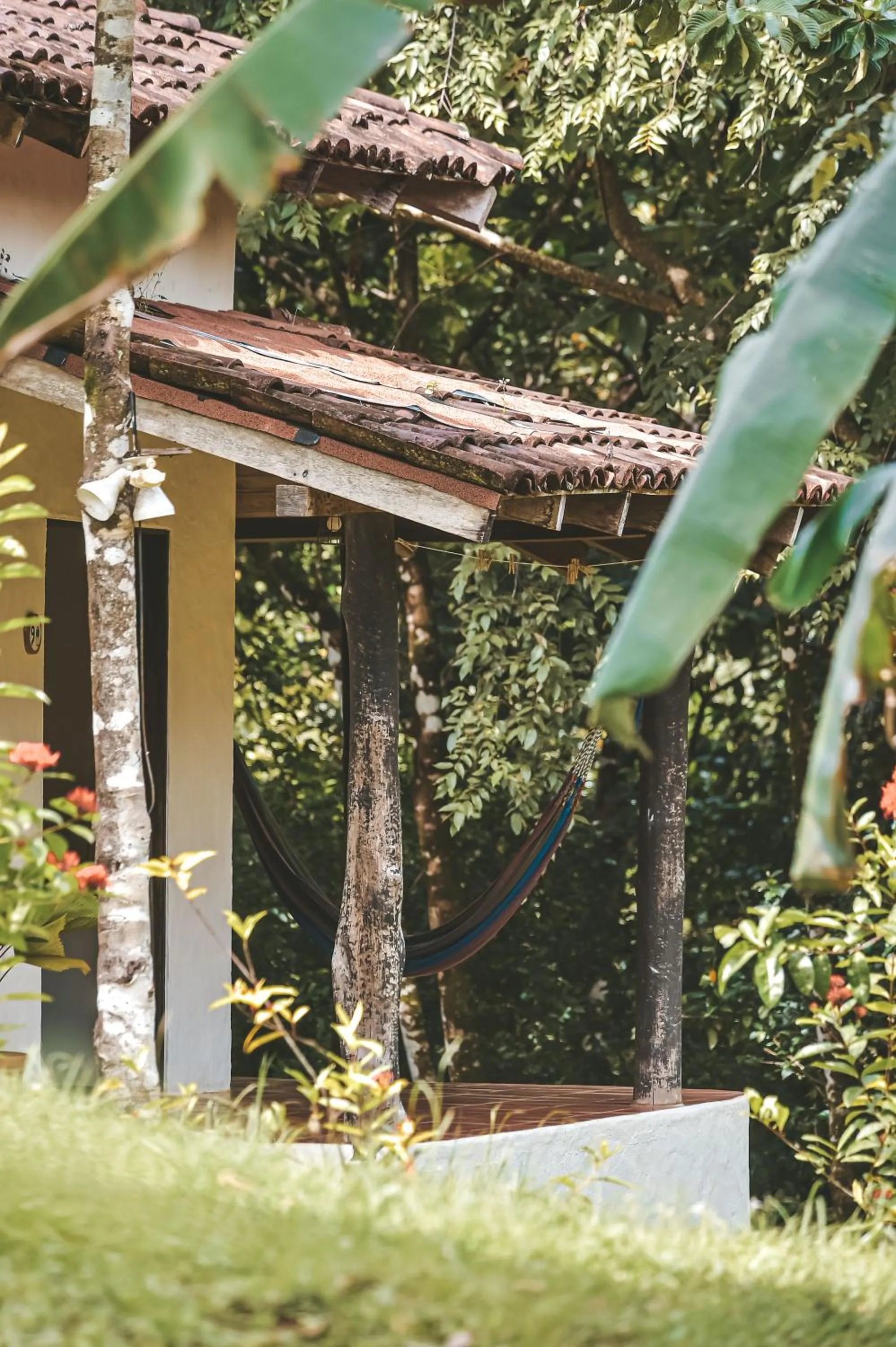 Property building in Villa Coco