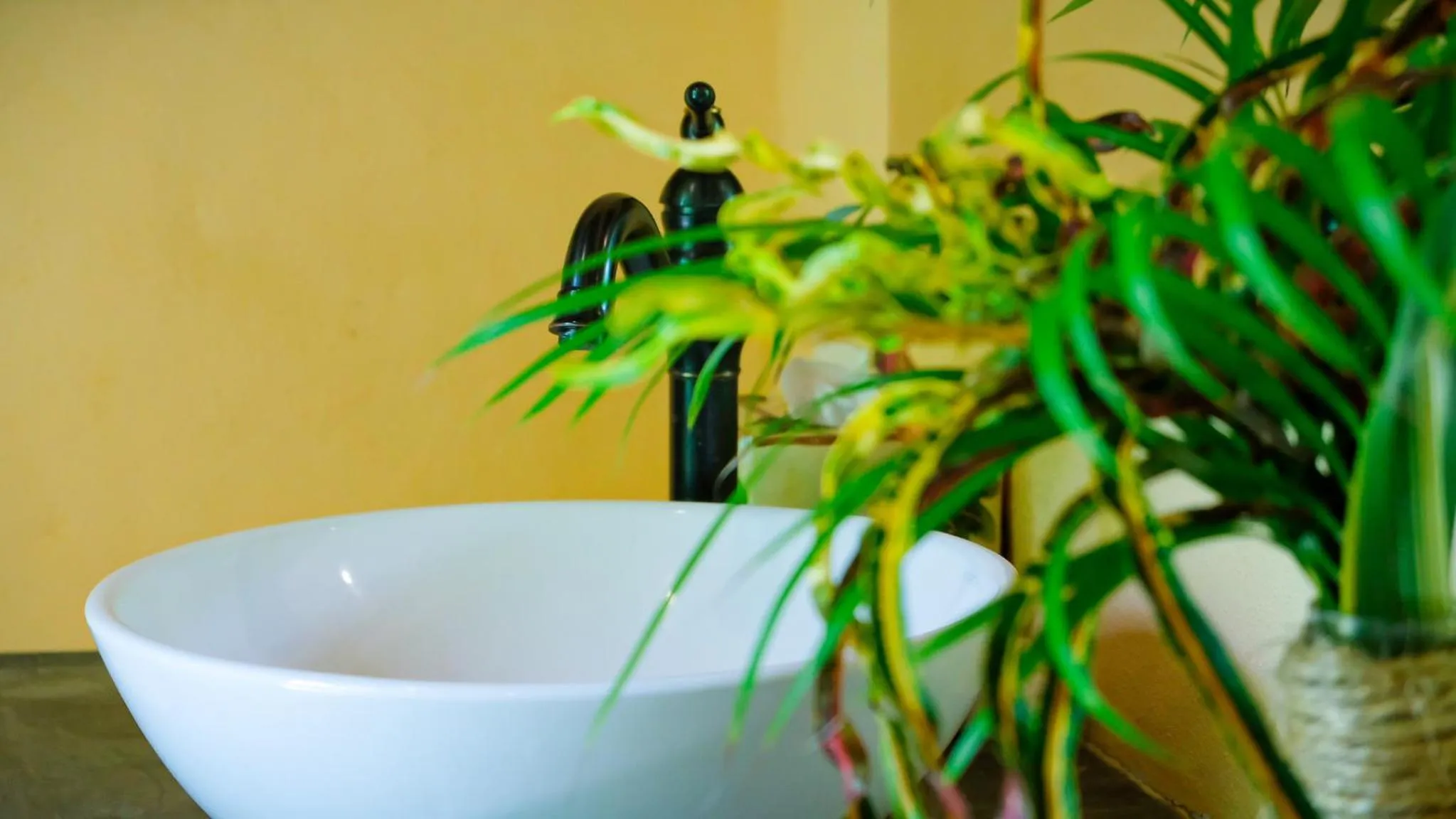 Bathroom in Villa Coco
