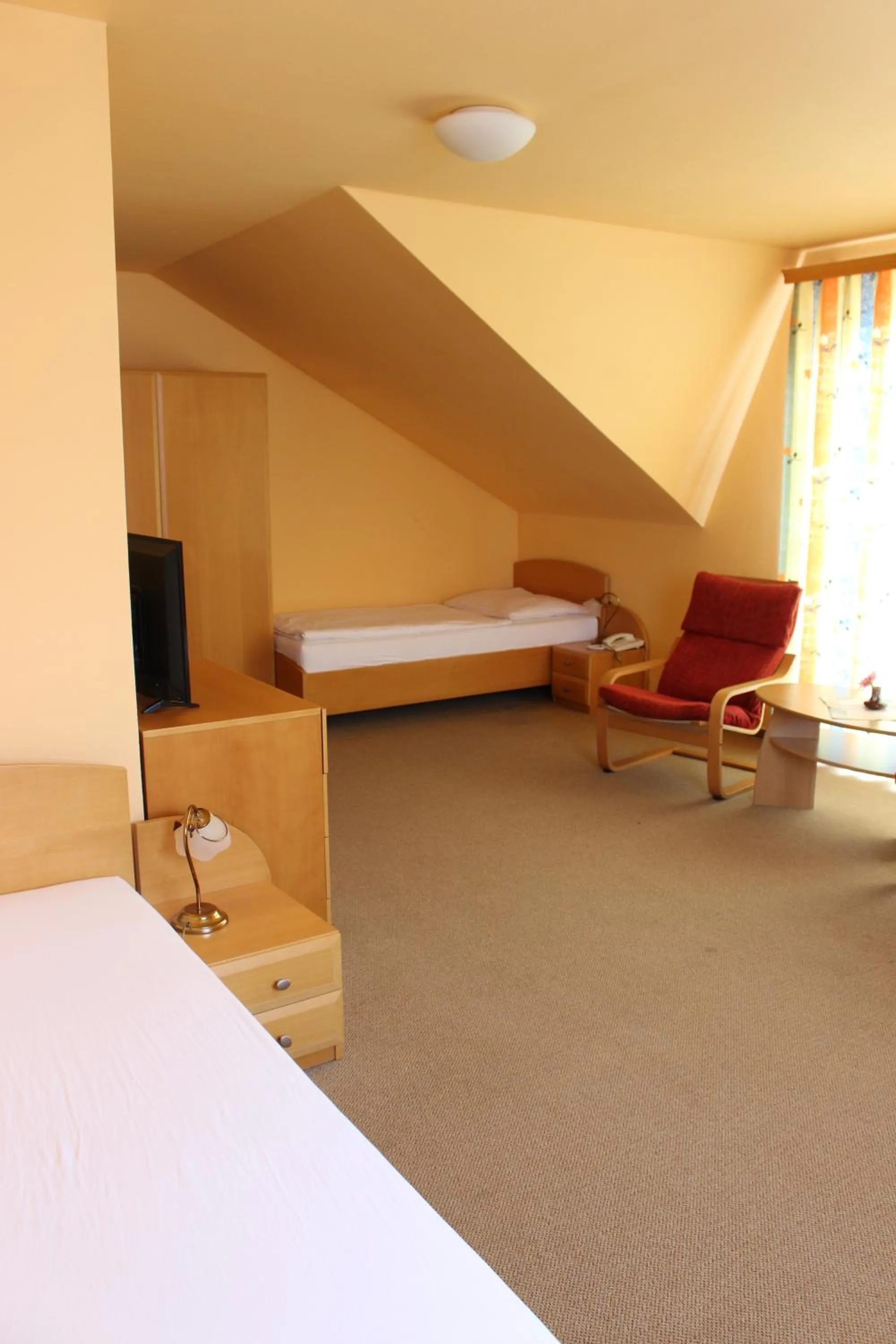 TV and multimedia, Bed in Motel U Krbu