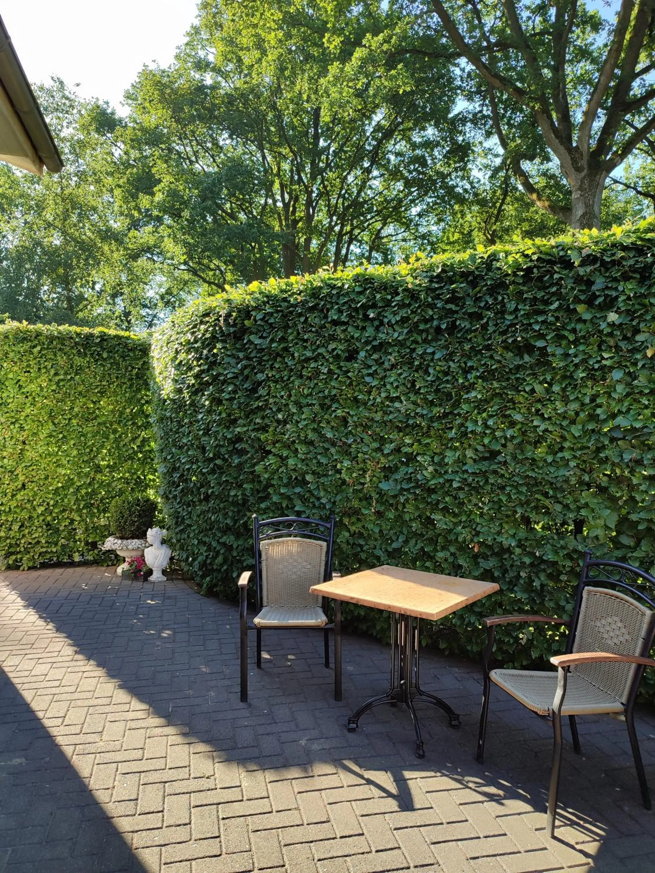 Patio in Hotel Groote Engel