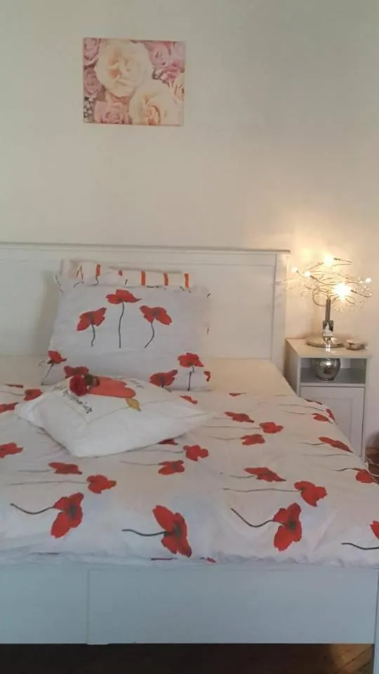 Family Apartment with Balcony in Penzion-apartmán U Johana